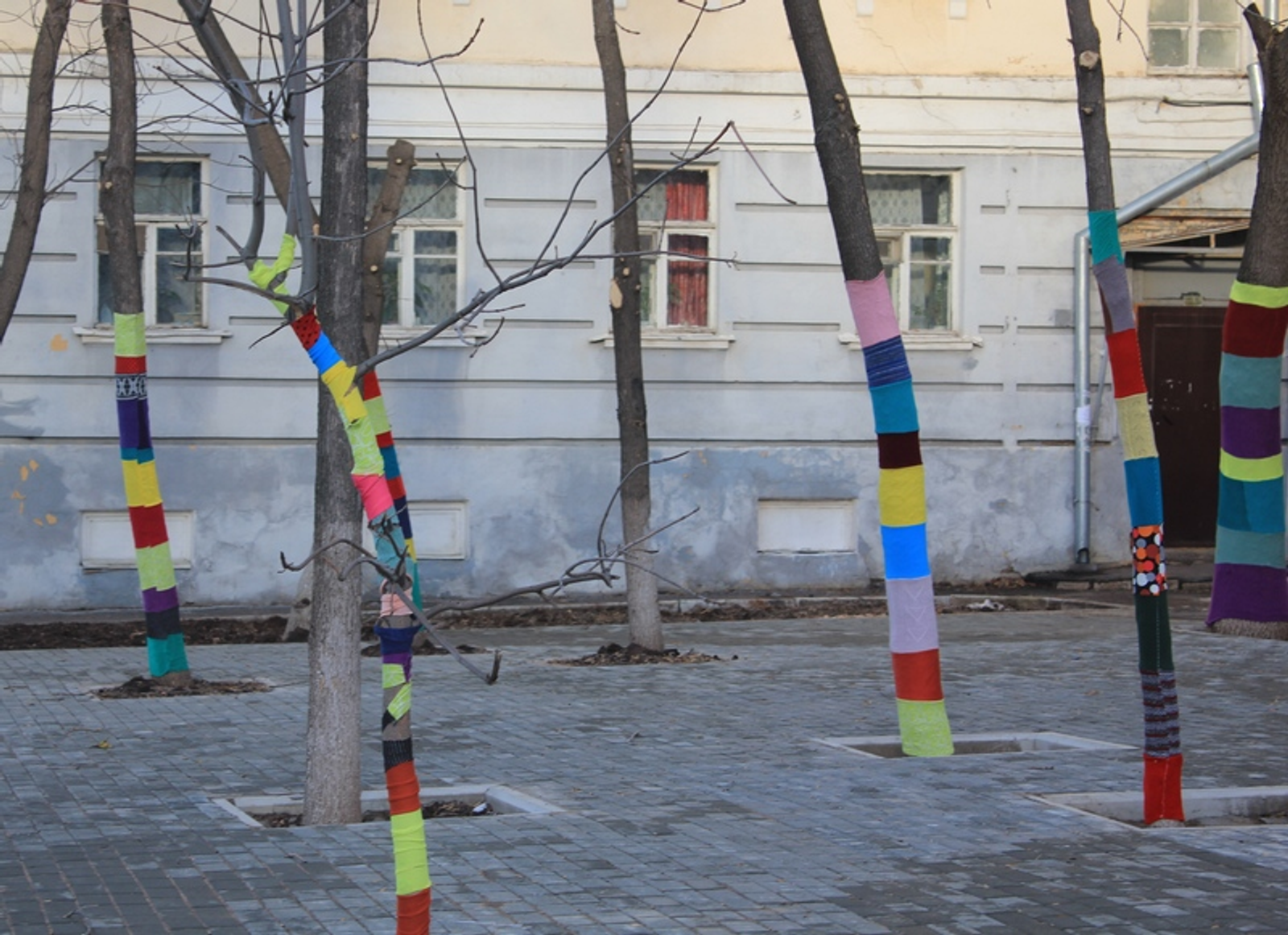 Фото автора.