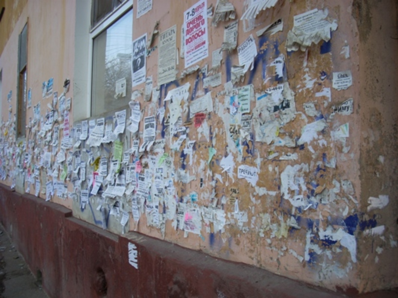 Фото автора.