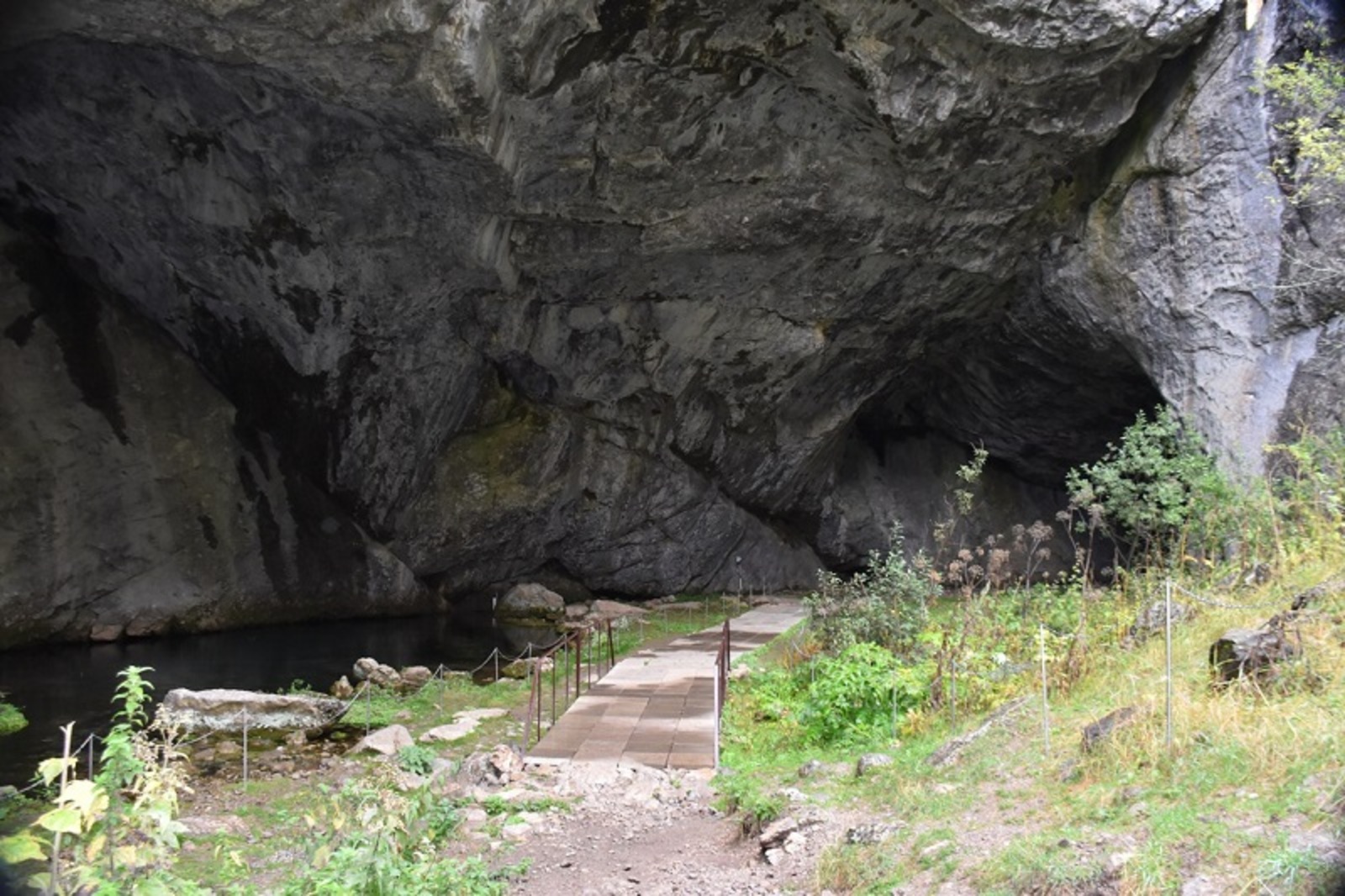 Фото Евгении Сюткиной.