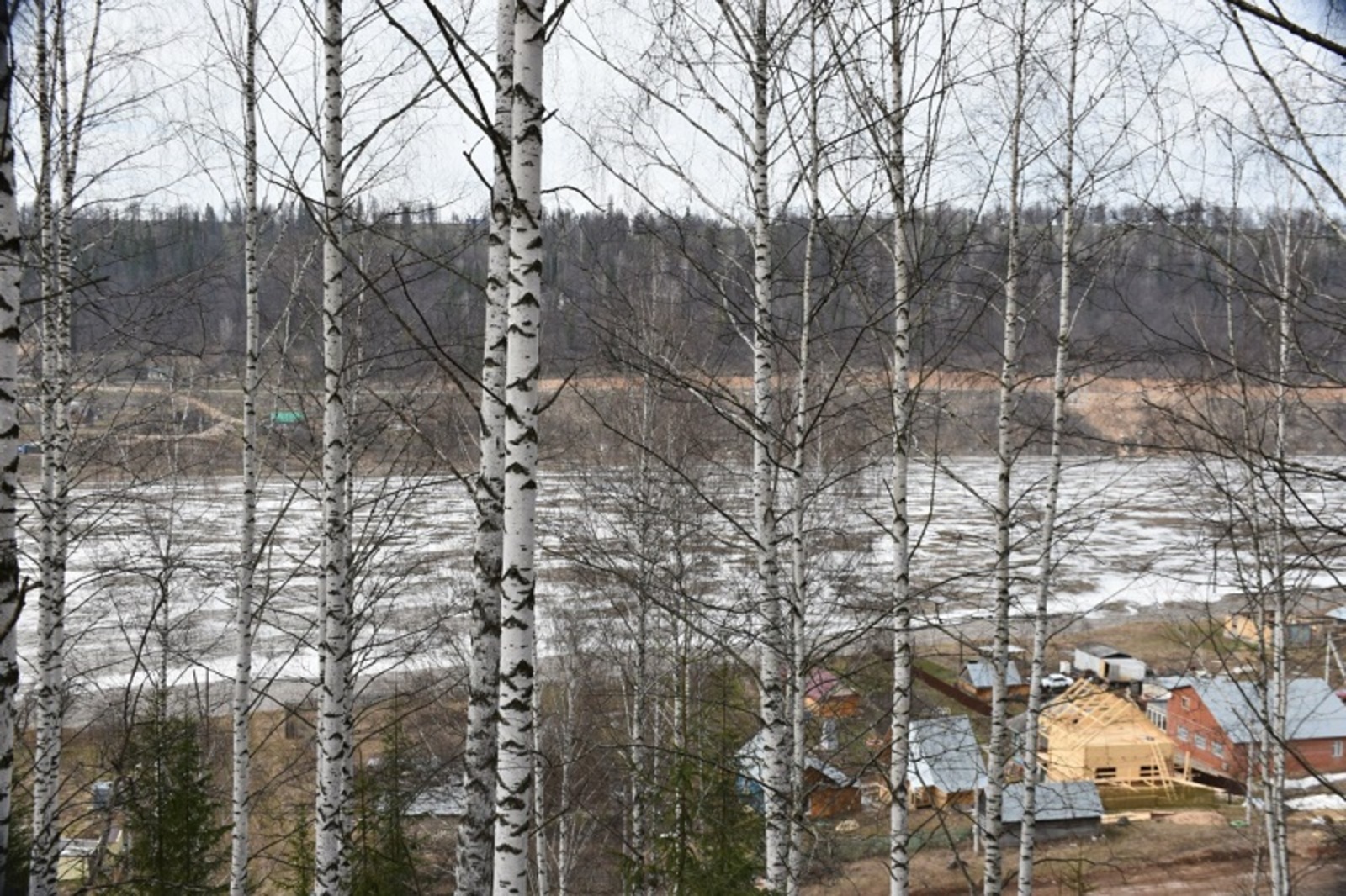 Фото Елены Колоколовой.