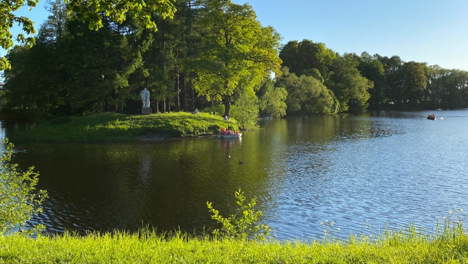 Елены Колоколовой.