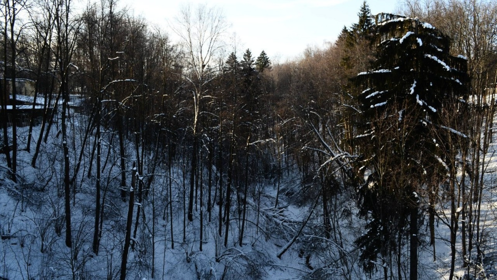 Владимира Шакиева.  «Общественная электронная газета».