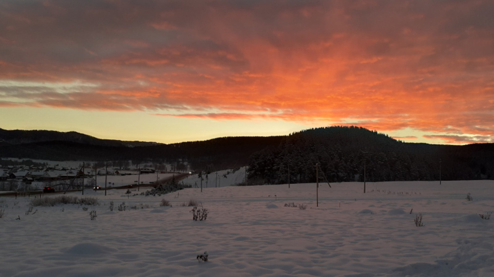 Фото автора.