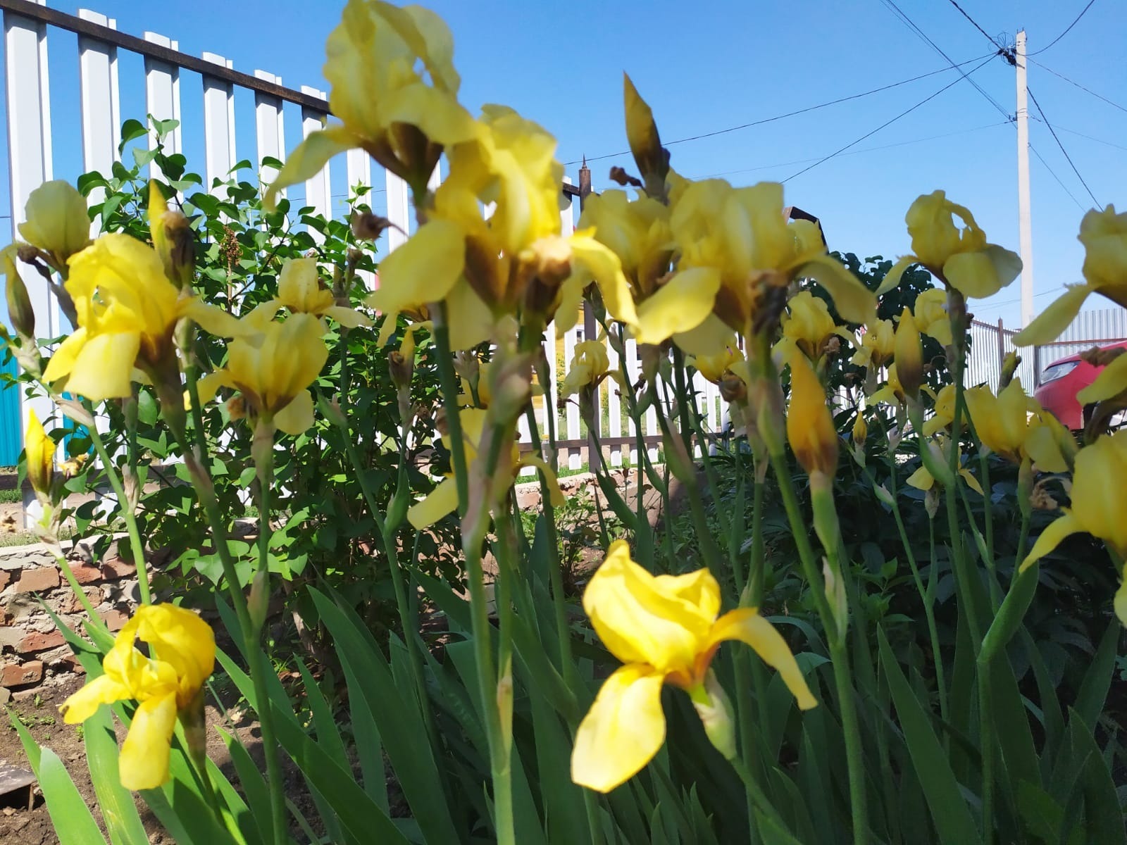 Васили Саитовой.