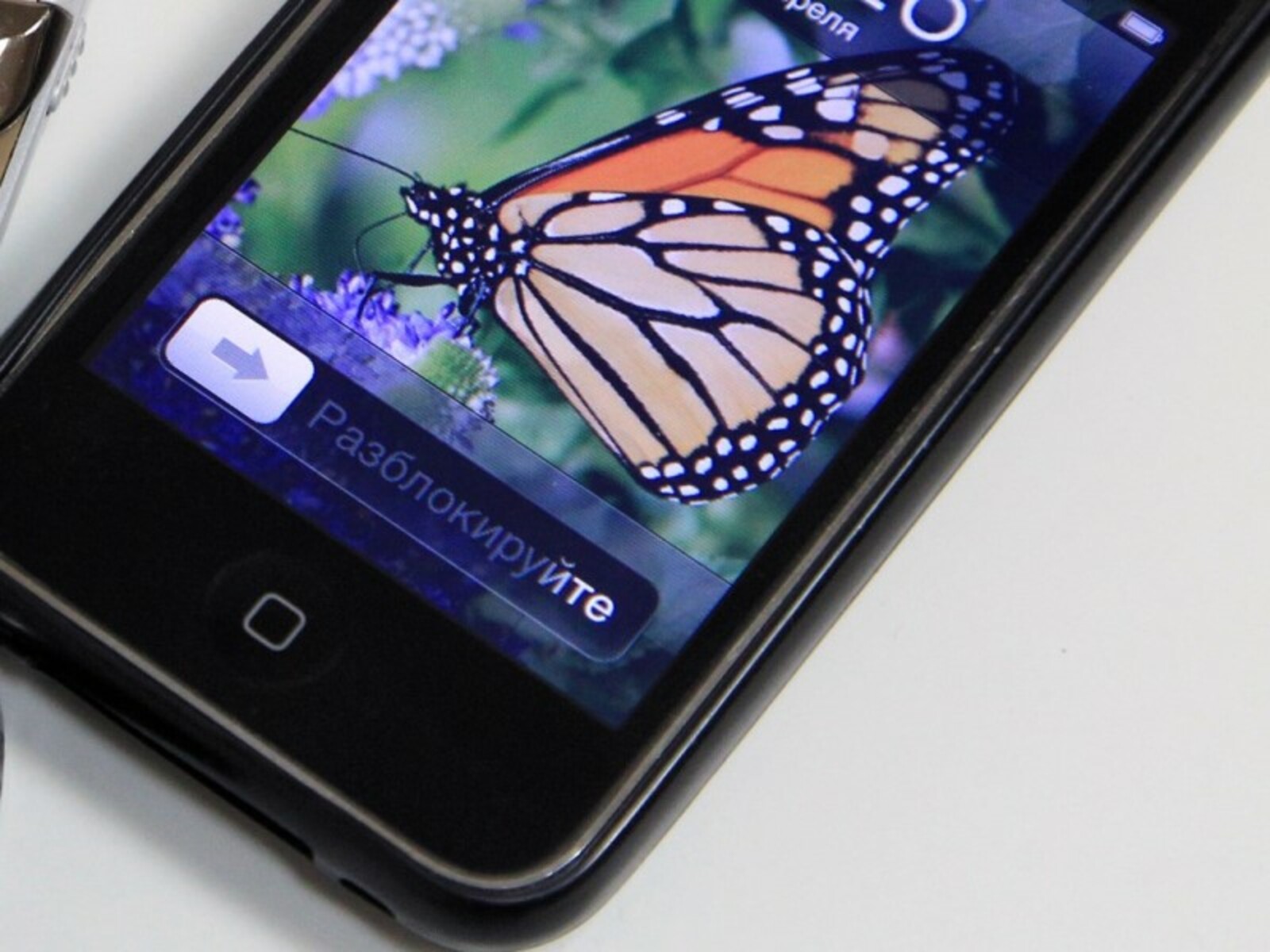 Фото Олега Яровикова.