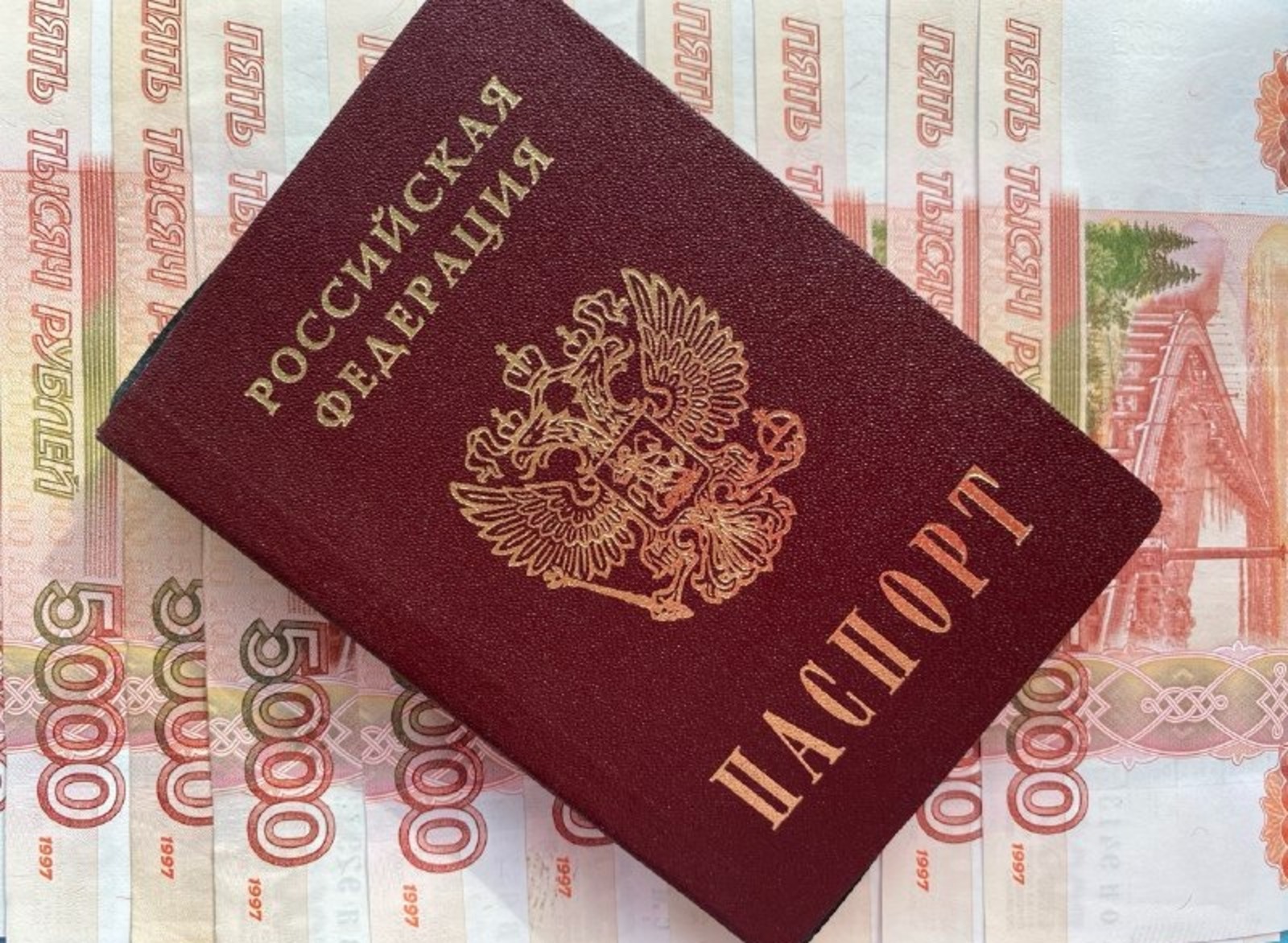 Елены Колоколовой.