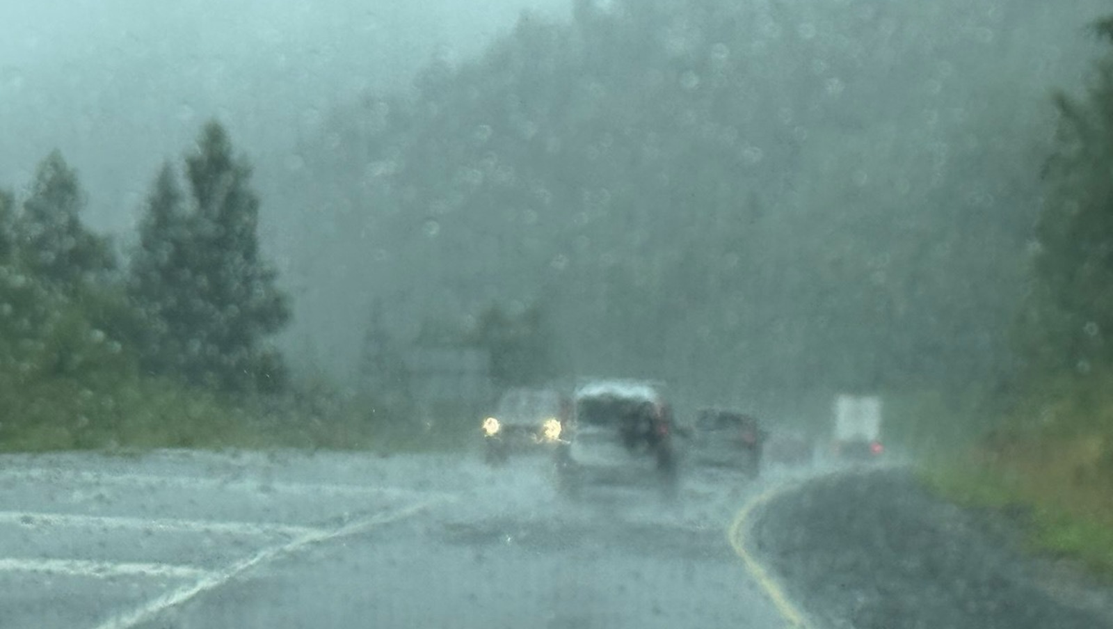 Елены Колоколовой.