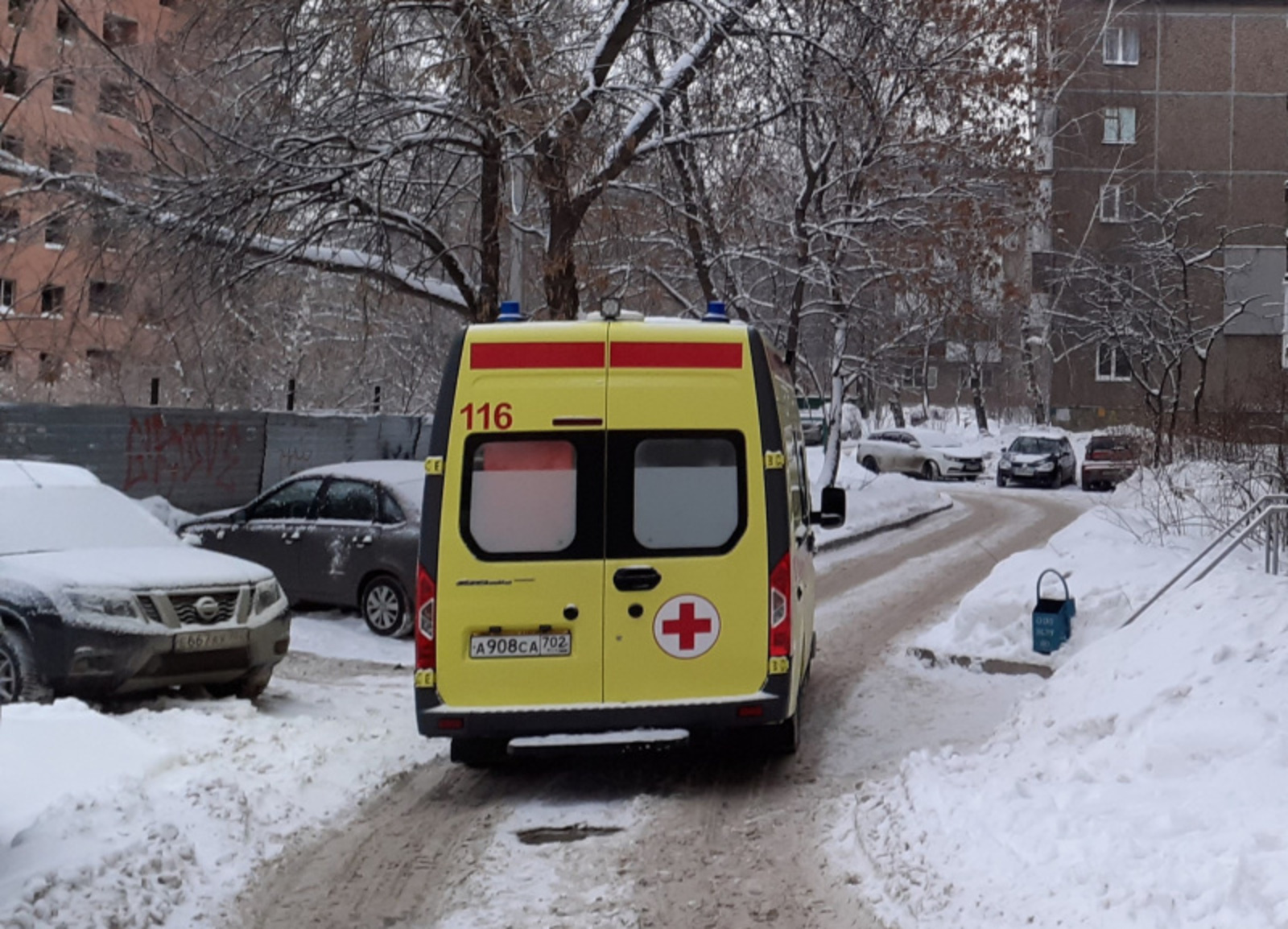 Фото автора.