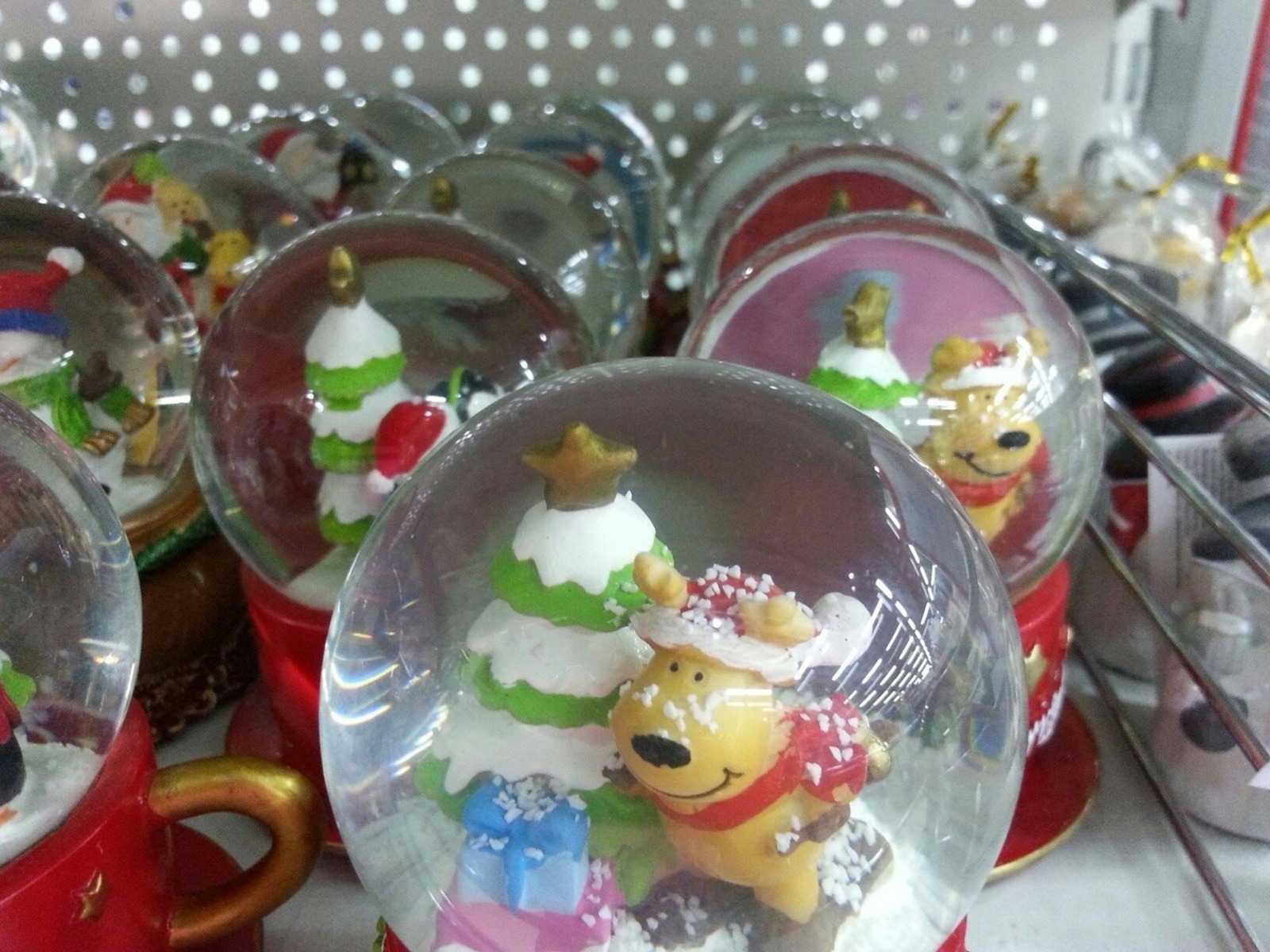 Дарьи Святохиной.