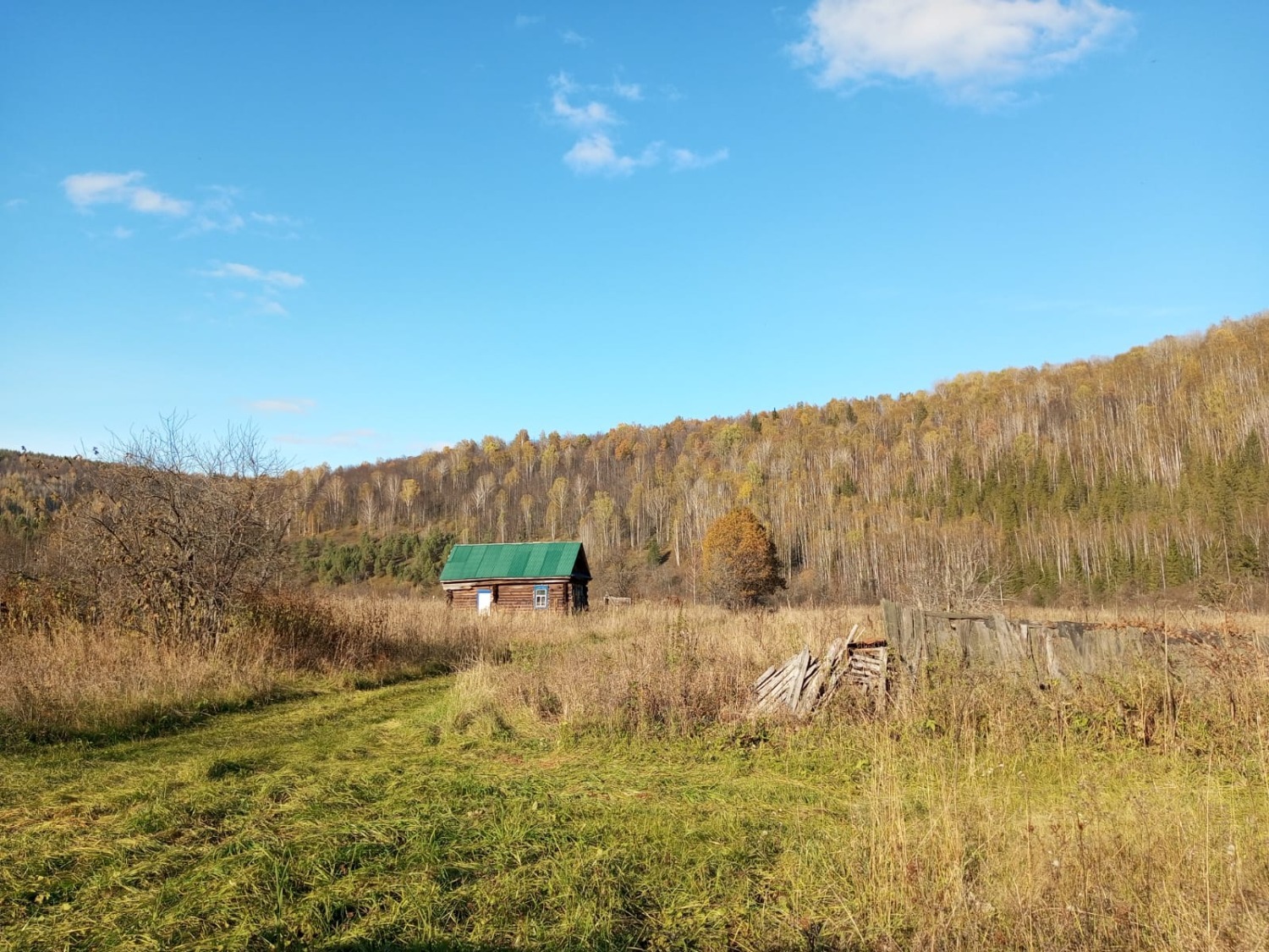 Евгении Сюткиной.