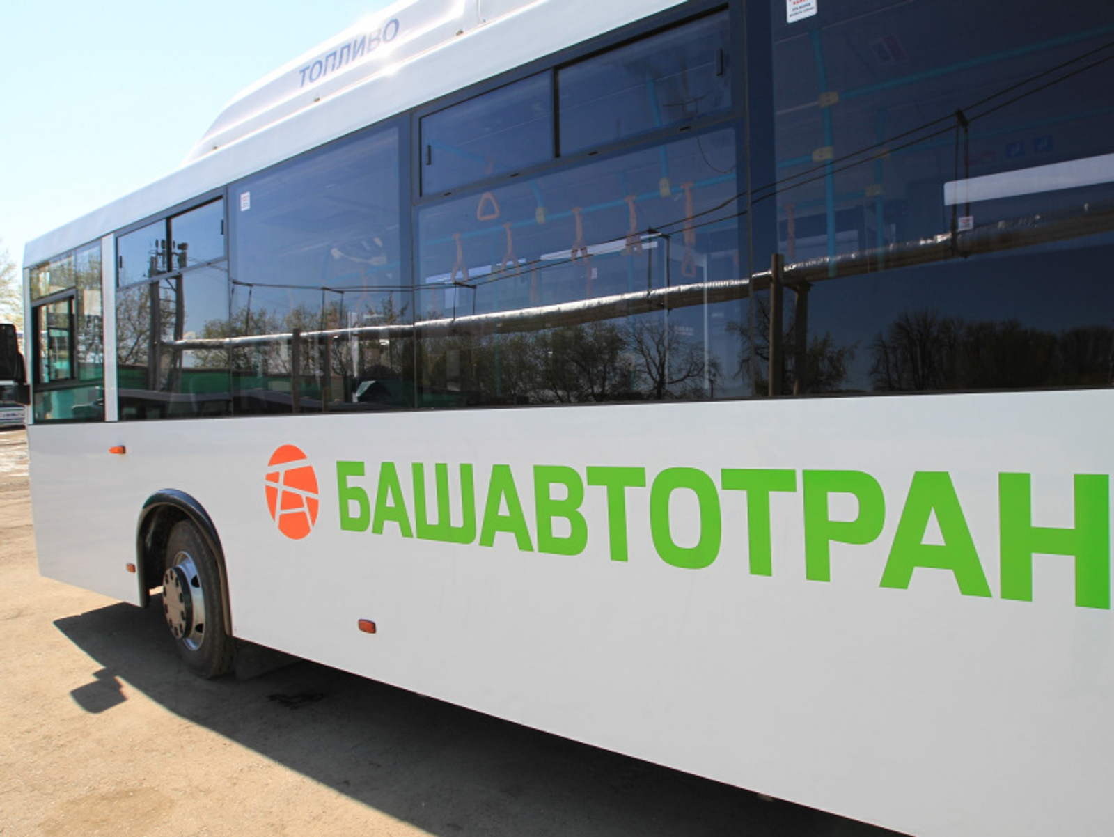 Фото Олега Яровикова.