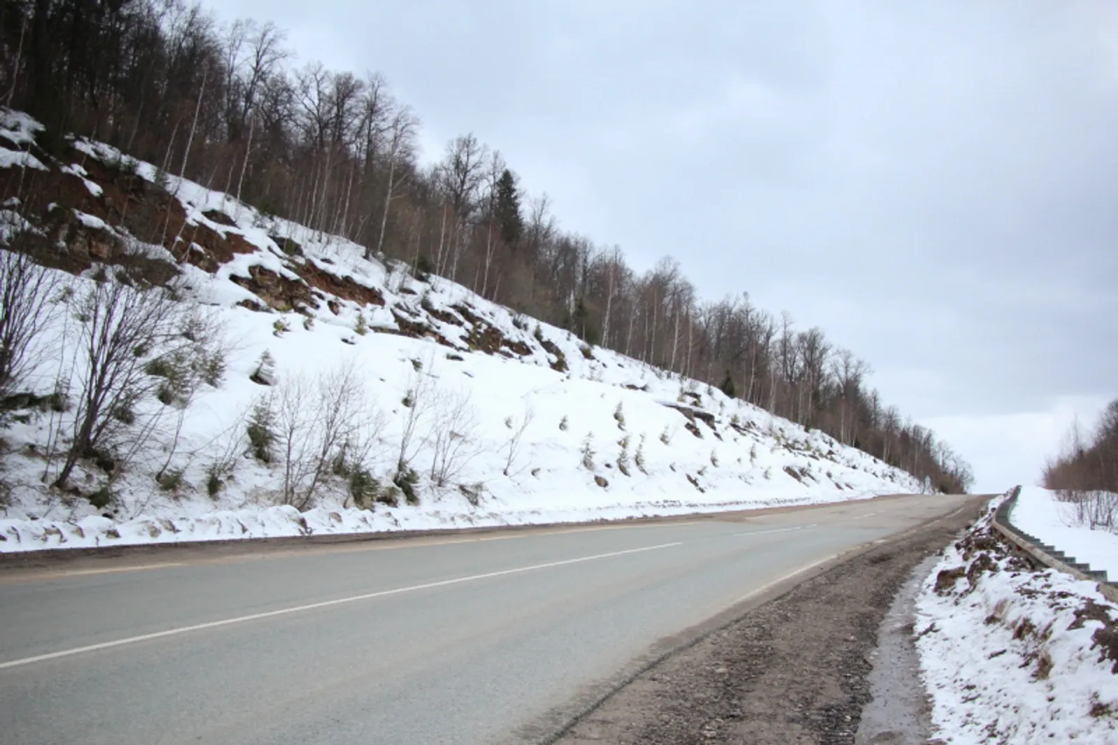 Фото Евгении Сюткиной.