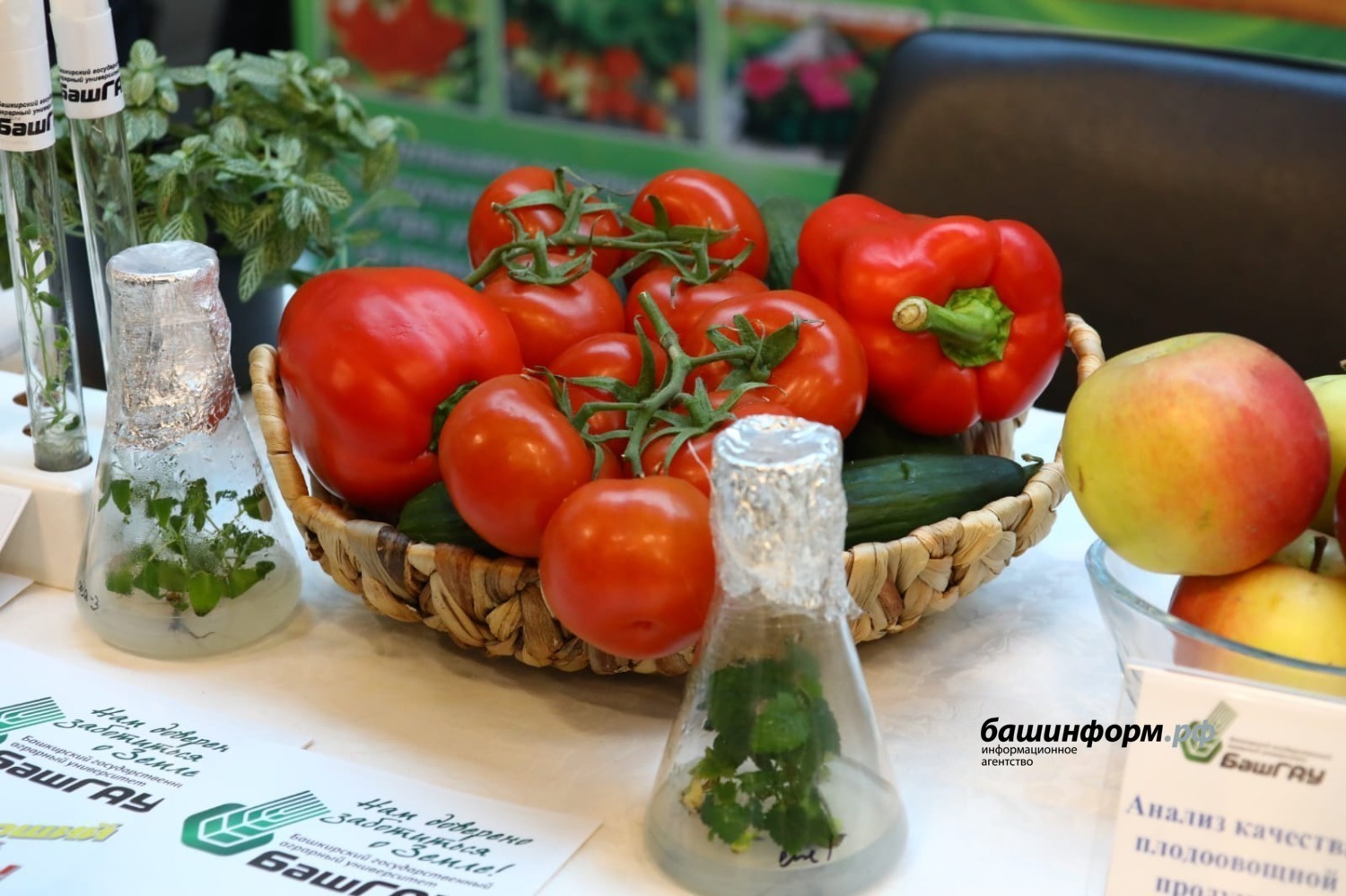 ИА «Башинформ».