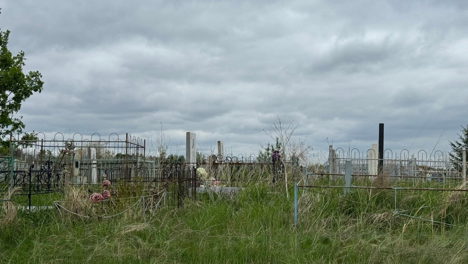 Елены Колоколовой.  «Общественная электронная газета».