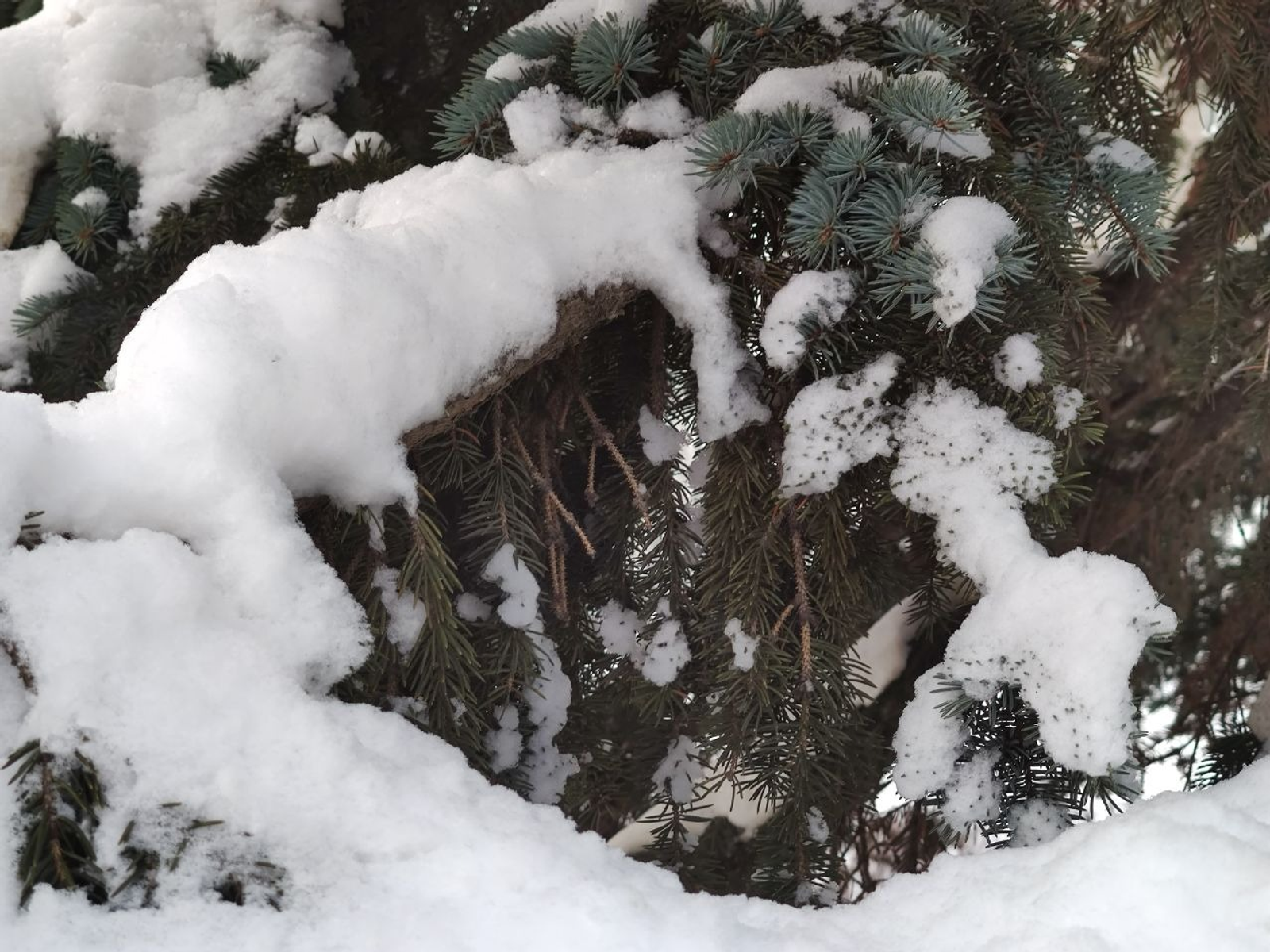 Фото Дарьи Святохиной. Фото Дарьи Святохиной.