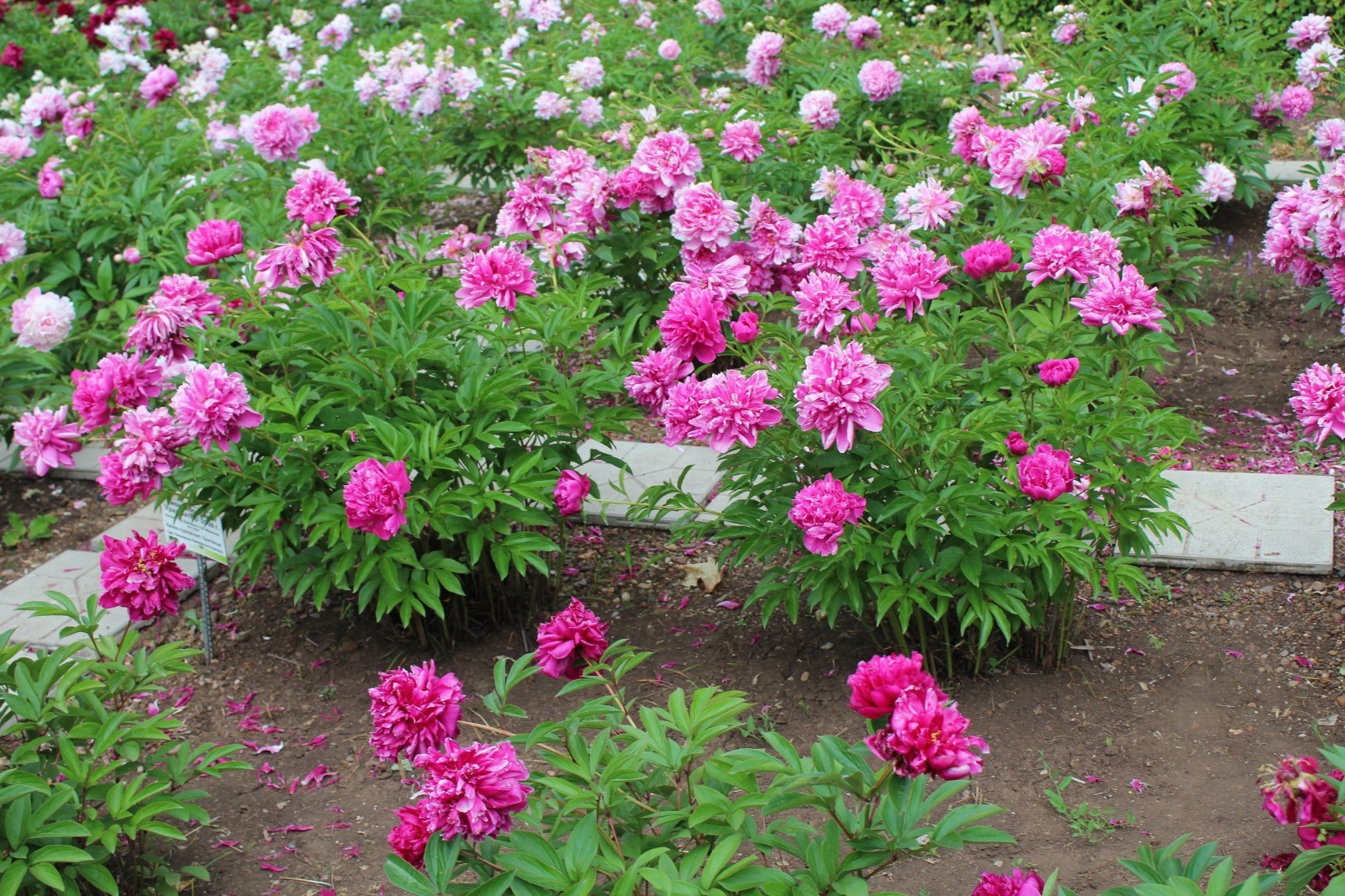 Дарьи Святохиной.