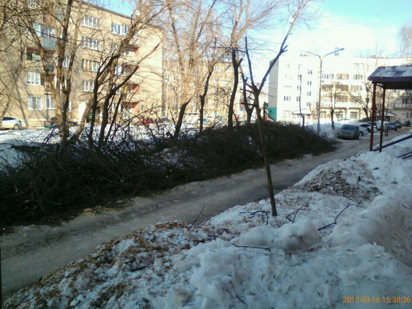 Фото предоставлено Лейсаной Газизовой.