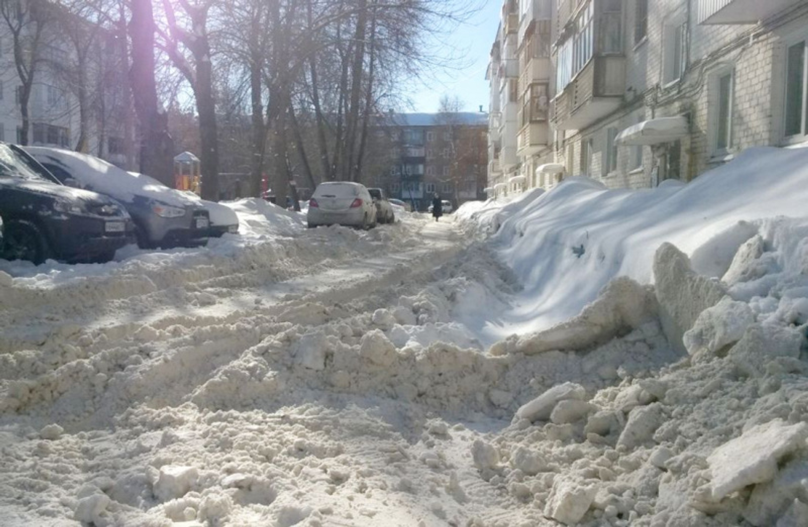 Фото автора.