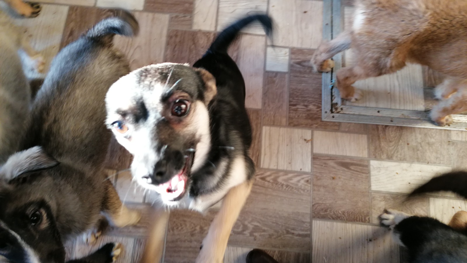 Елены Колоколовой.