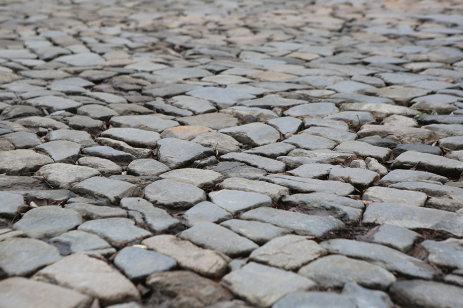 Фото Андрея Старостина.