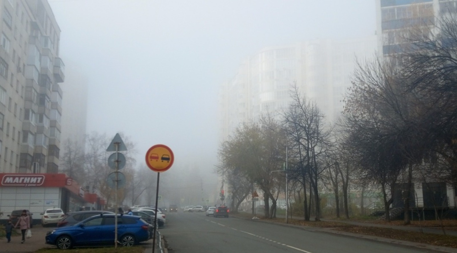 Евгении Сюткиной. "Общественная электронная газета".