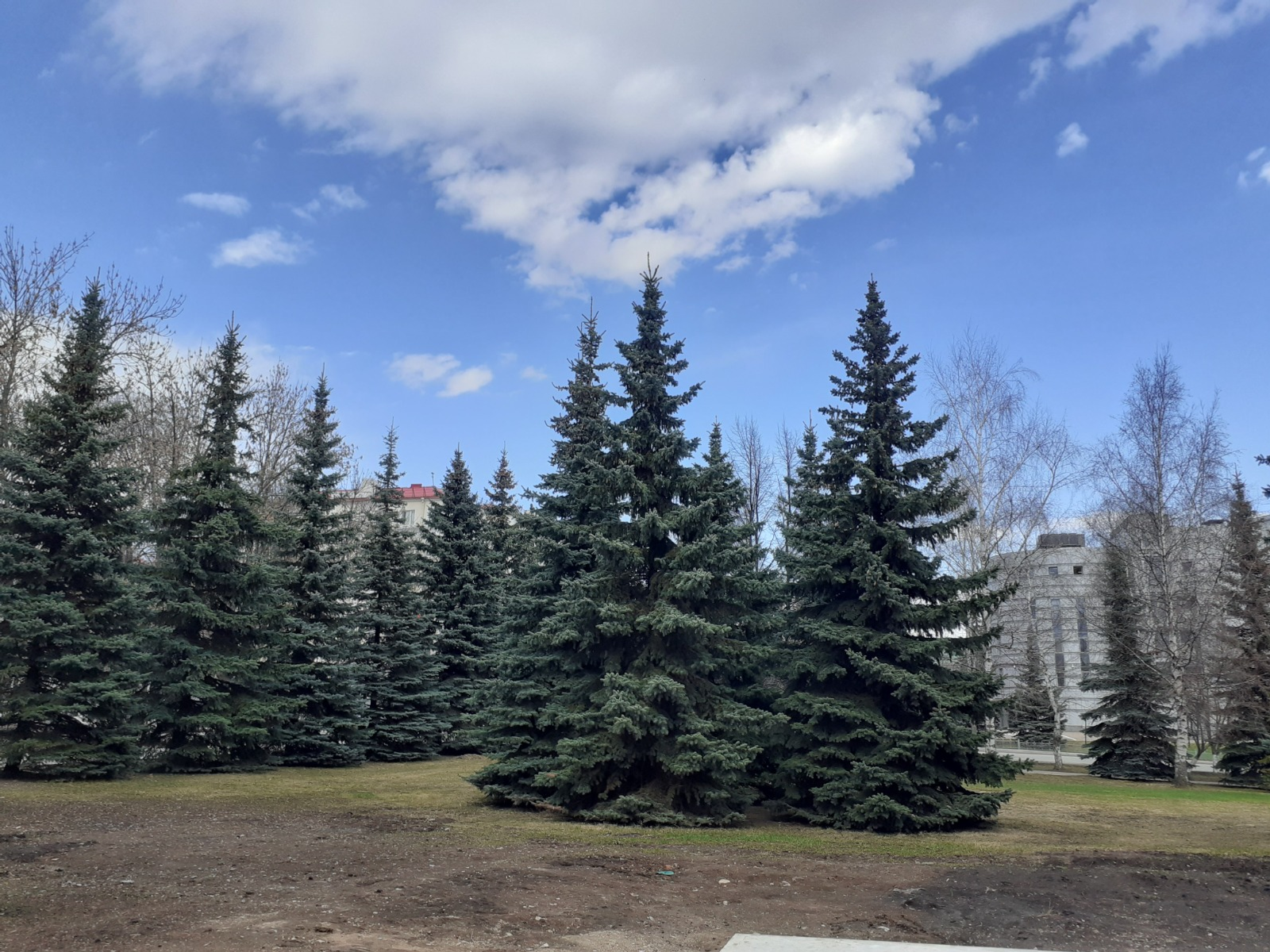 Владимира Шакиева. «Общественная электронная газета».