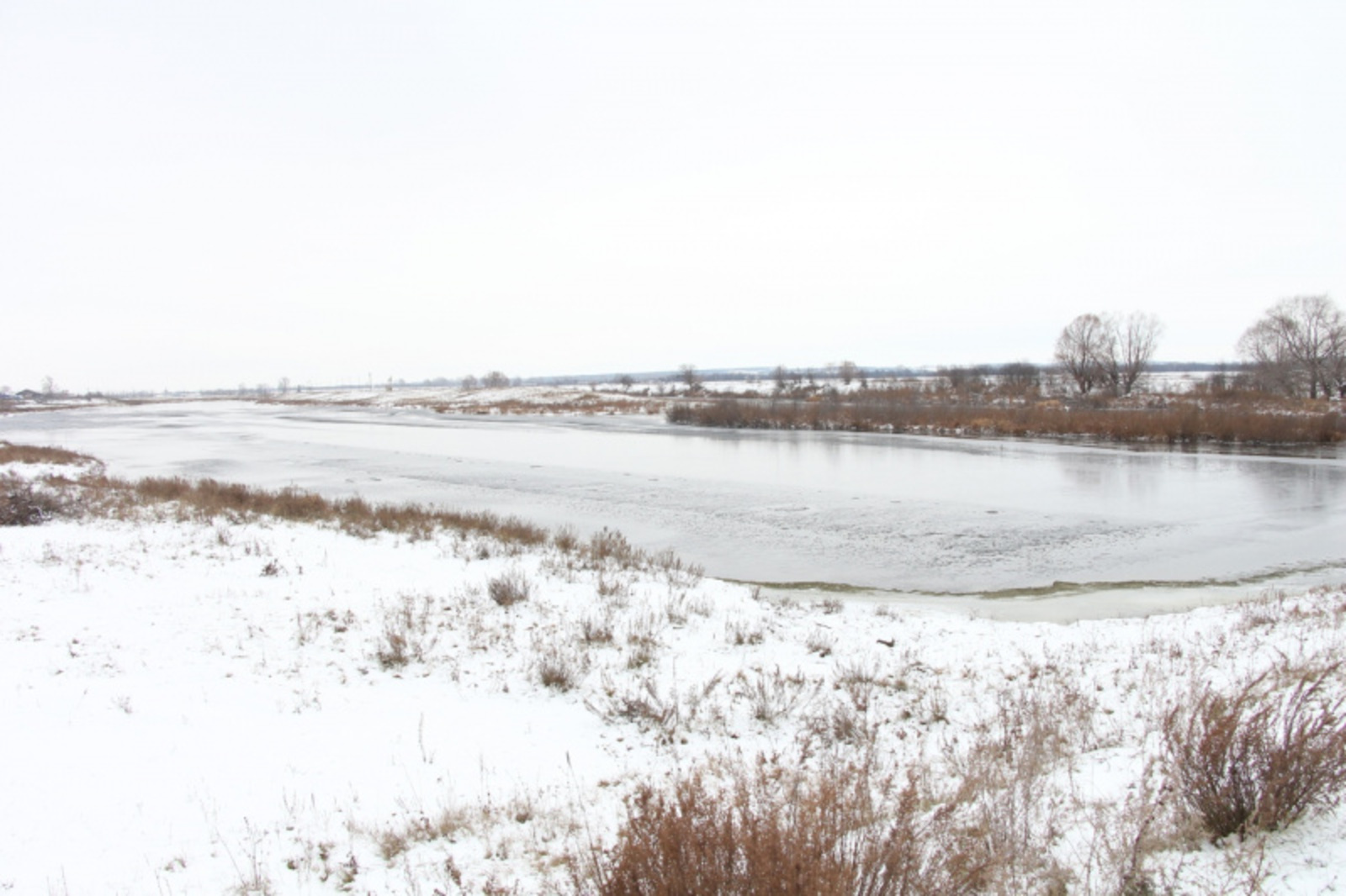 Фото Альмира Сибагатуллина.