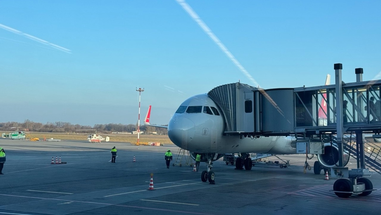 Елены Колоколовой. «Общественная электронная газета».