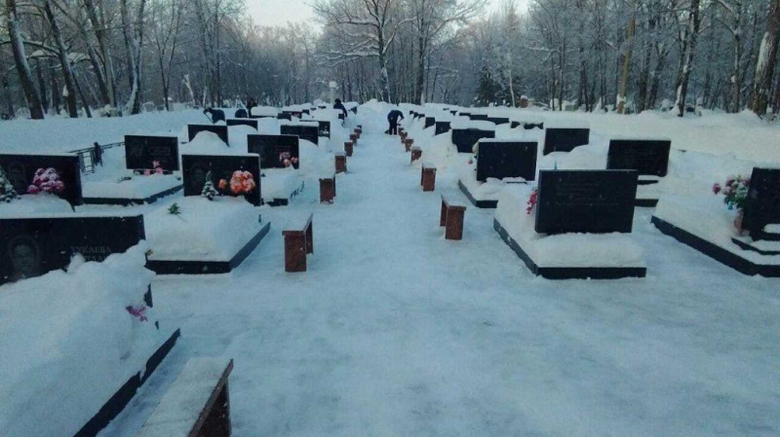 Фото предоставлено автором.