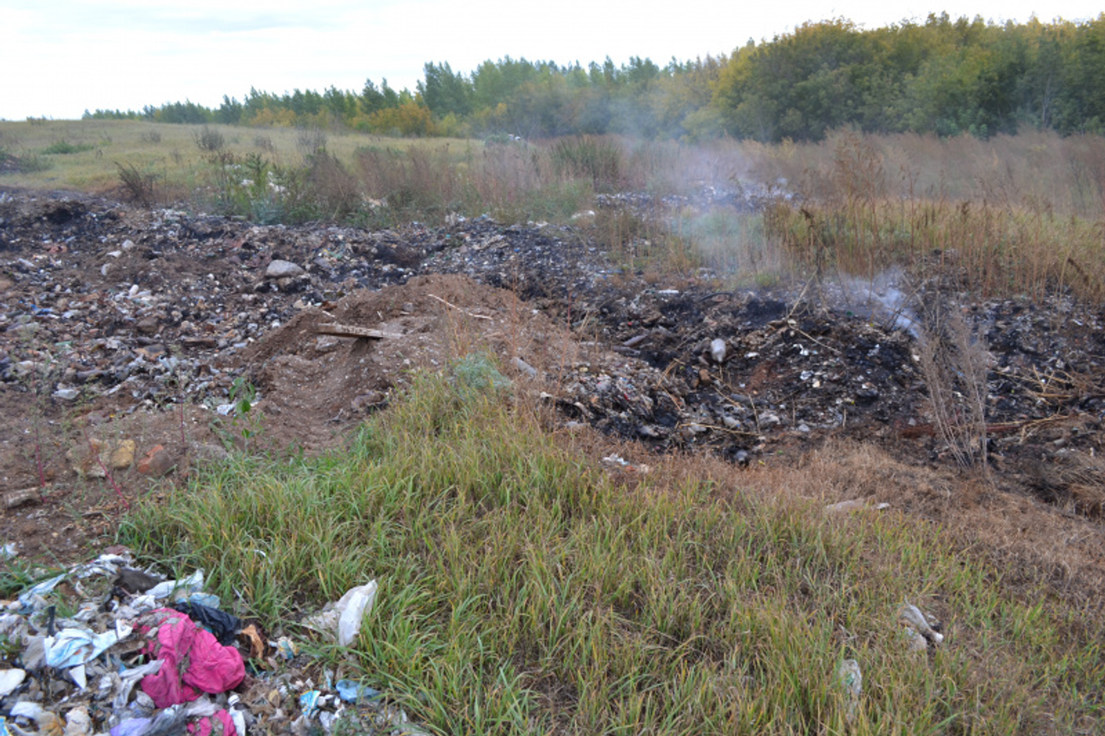 Фото автора.