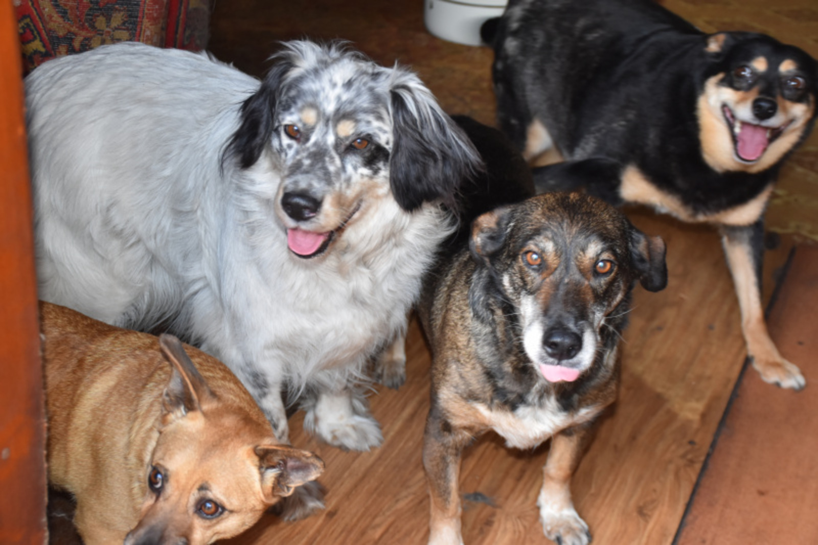 Фото автора.