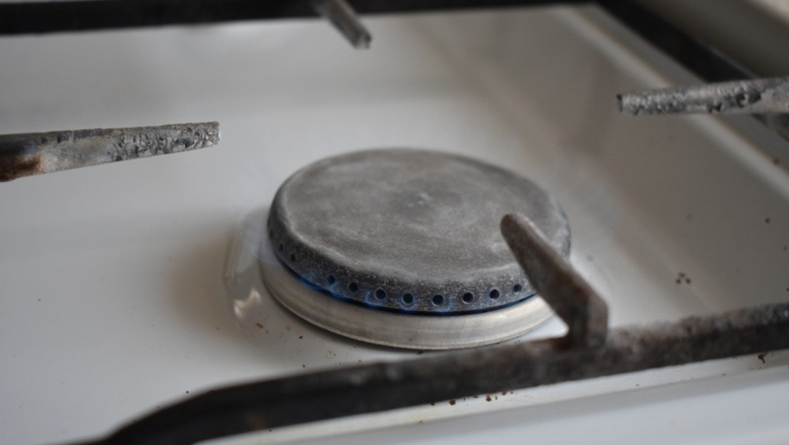 Елены Колоколовой.