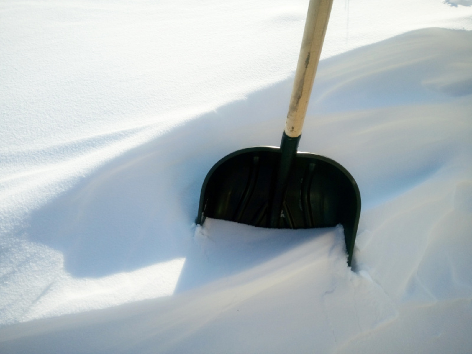 Фото Васили Саитовой.