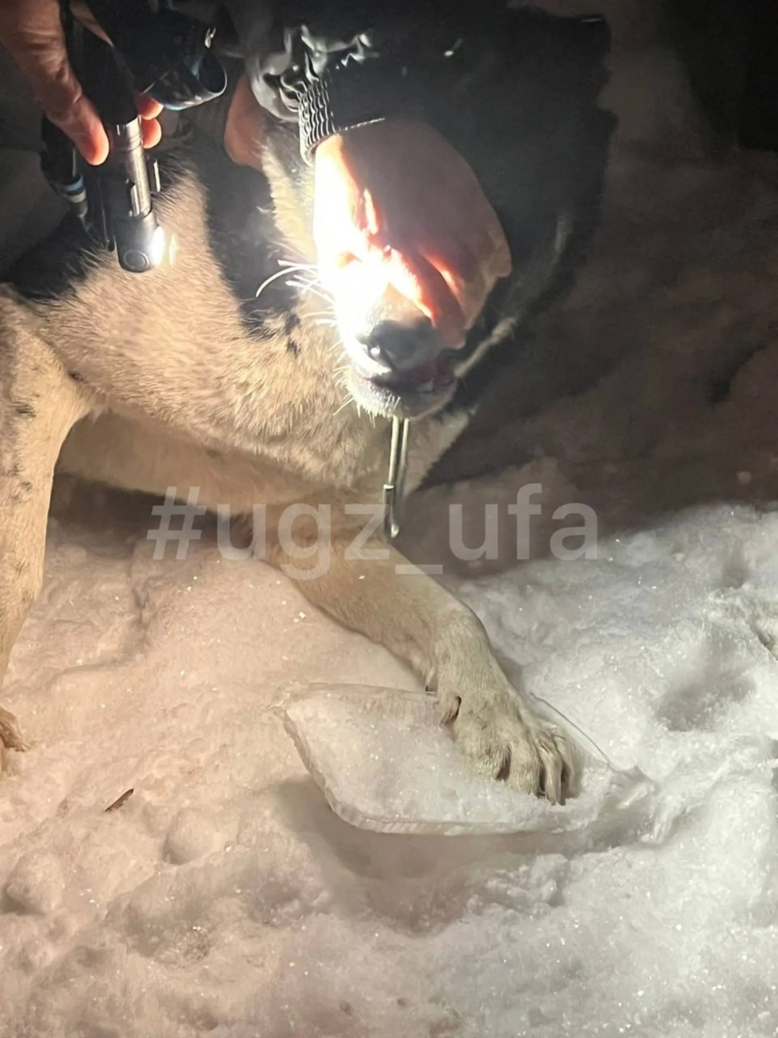 Управление гражданской защиты Уфы. телеграм.