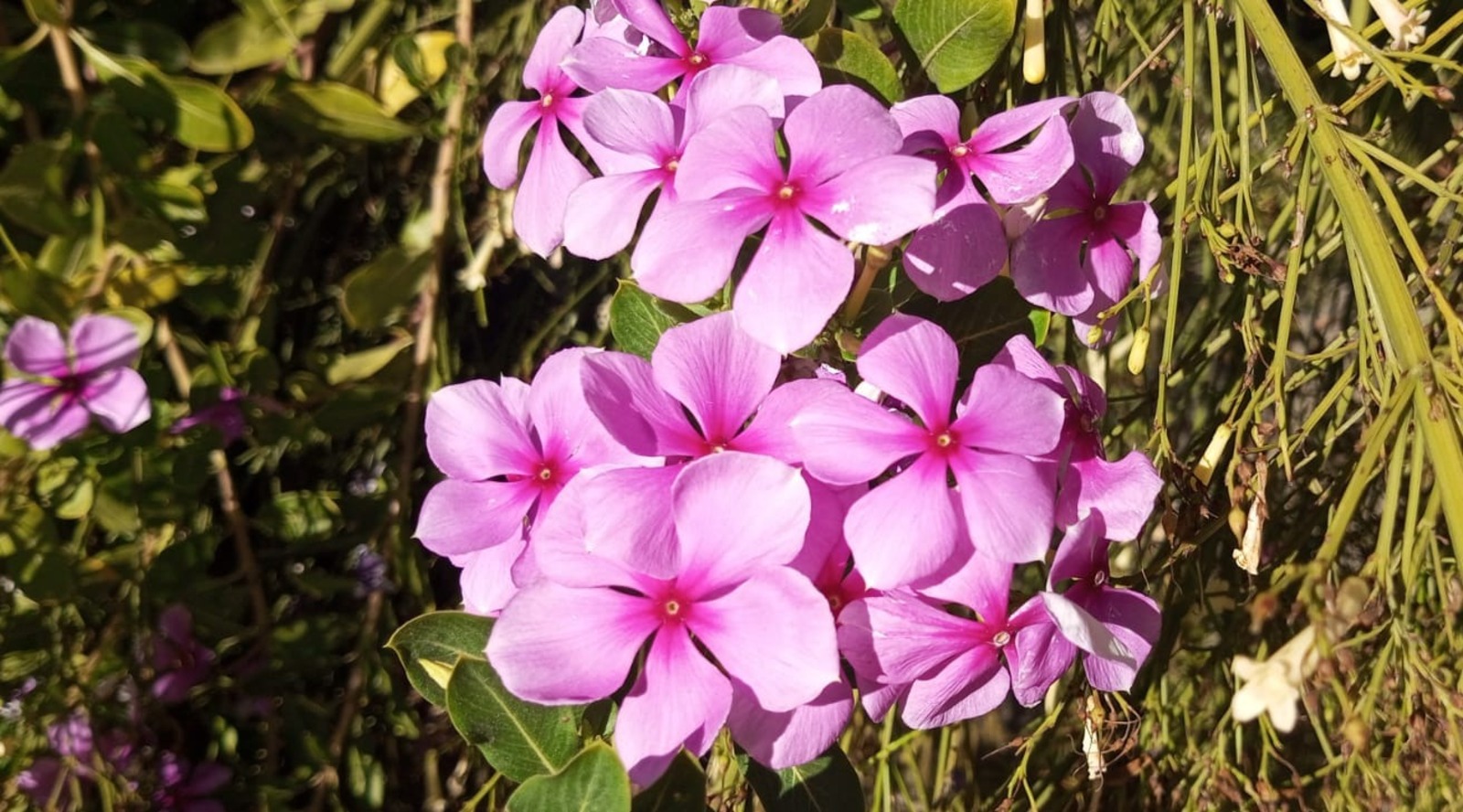 Евгении Сюткиной.