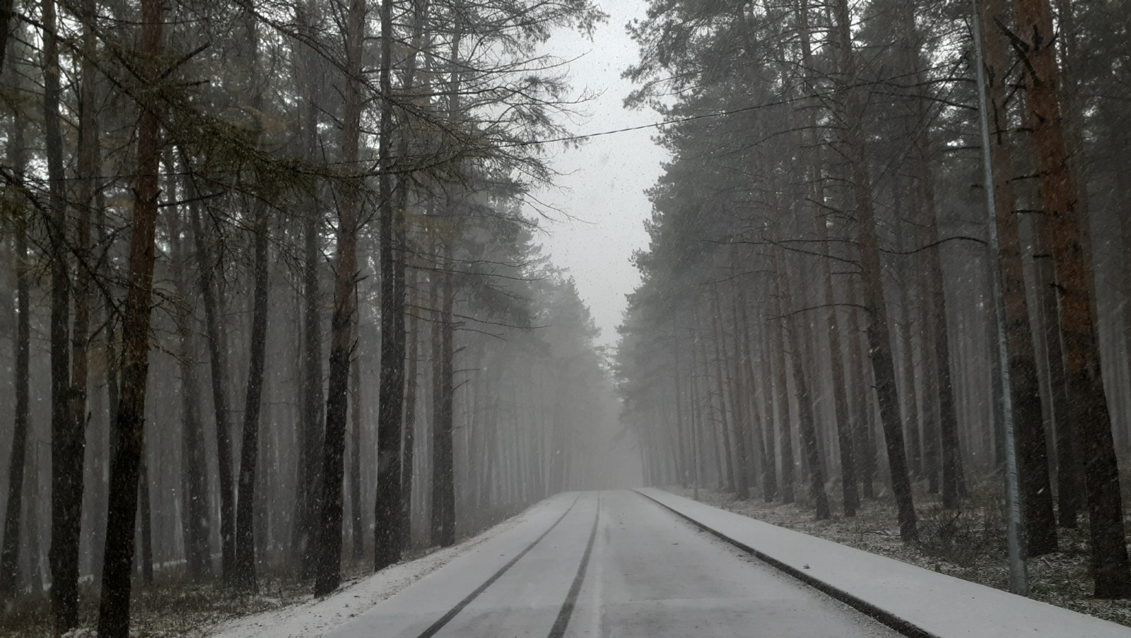 Владимира Шакиева.