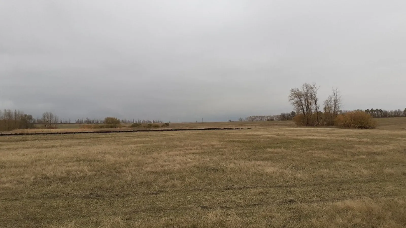 Владимира Шакиева.