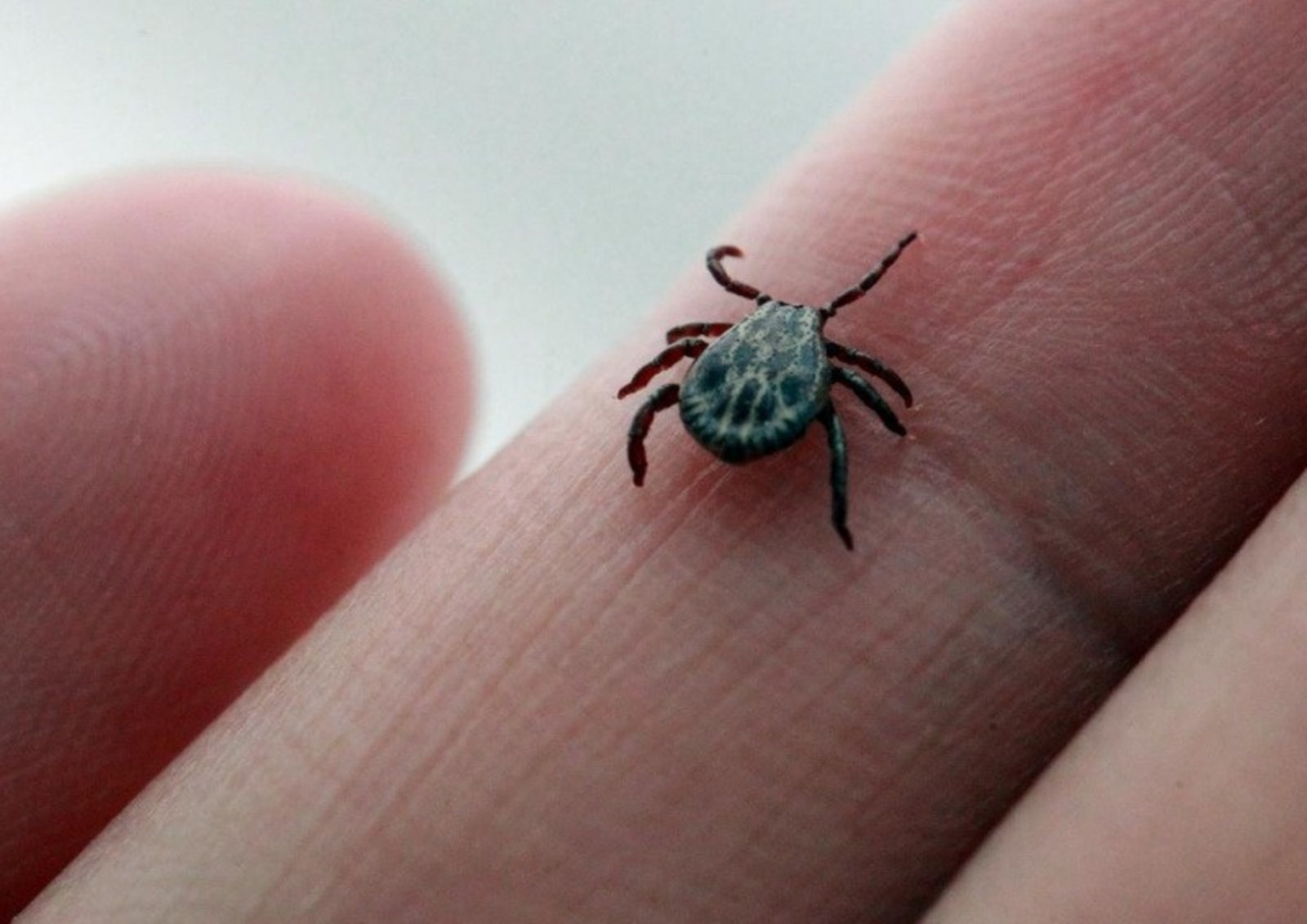 ИА «Башинформ».