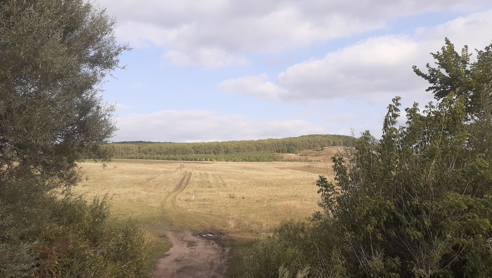 Владимира Шакиева. «Общественная электронная газета».
