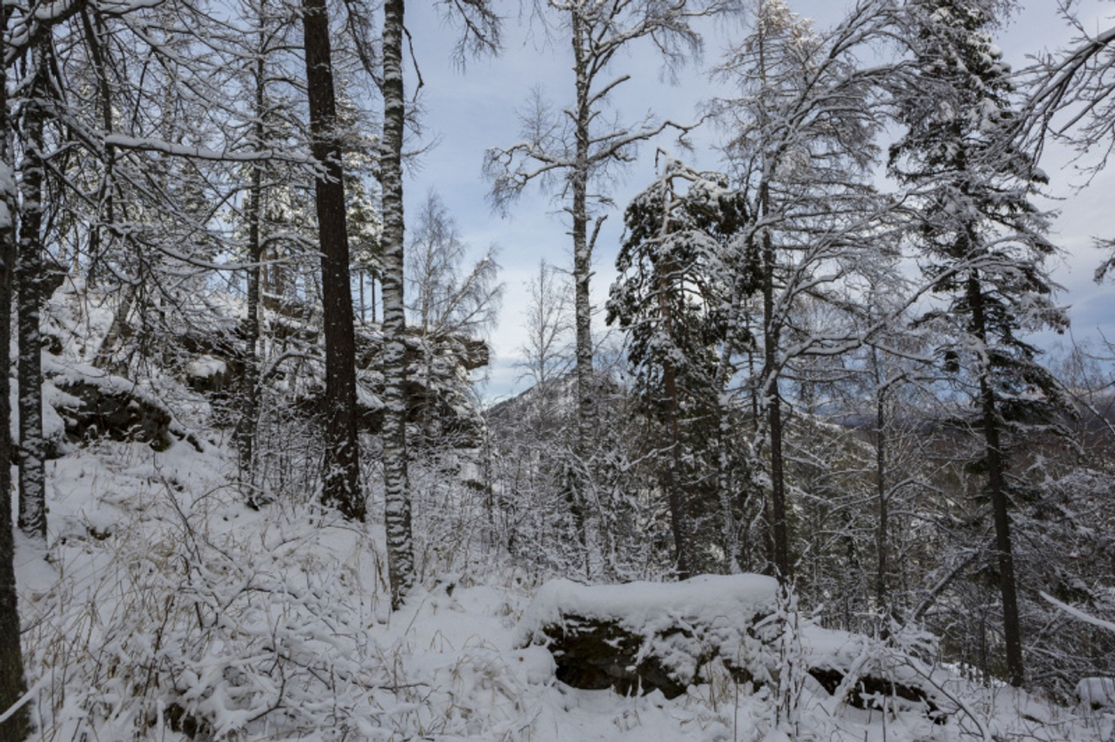 Фото Фаиля Абсатарова.