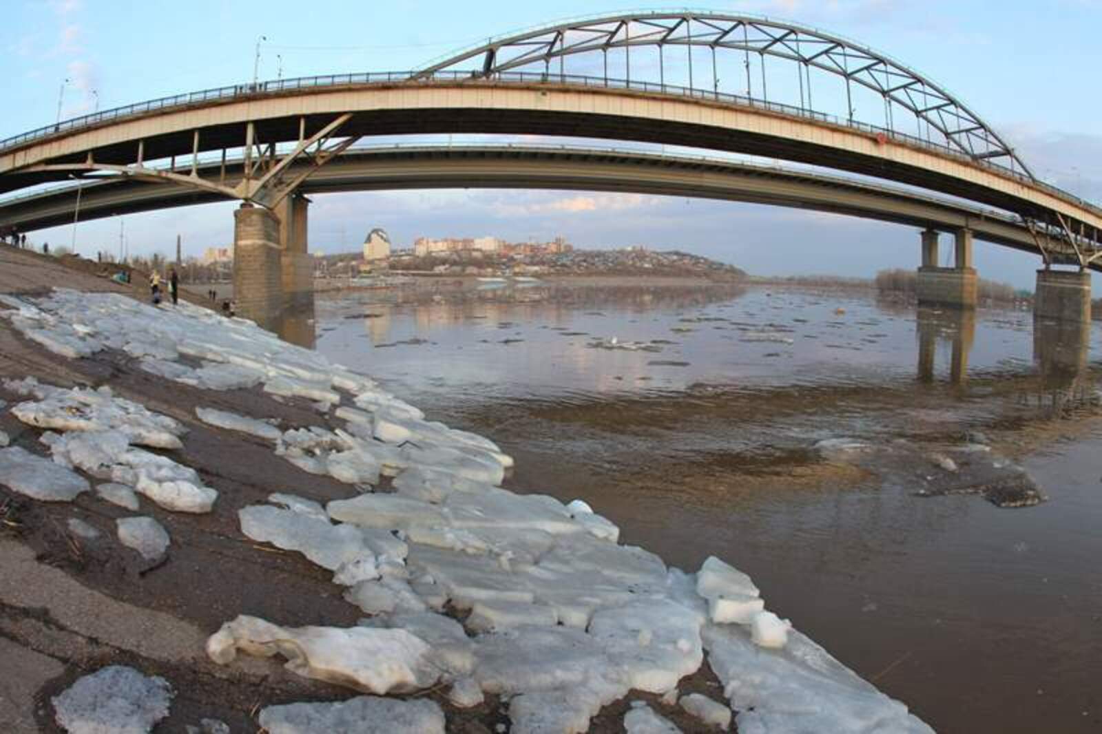 Фото Олега Яровикова.