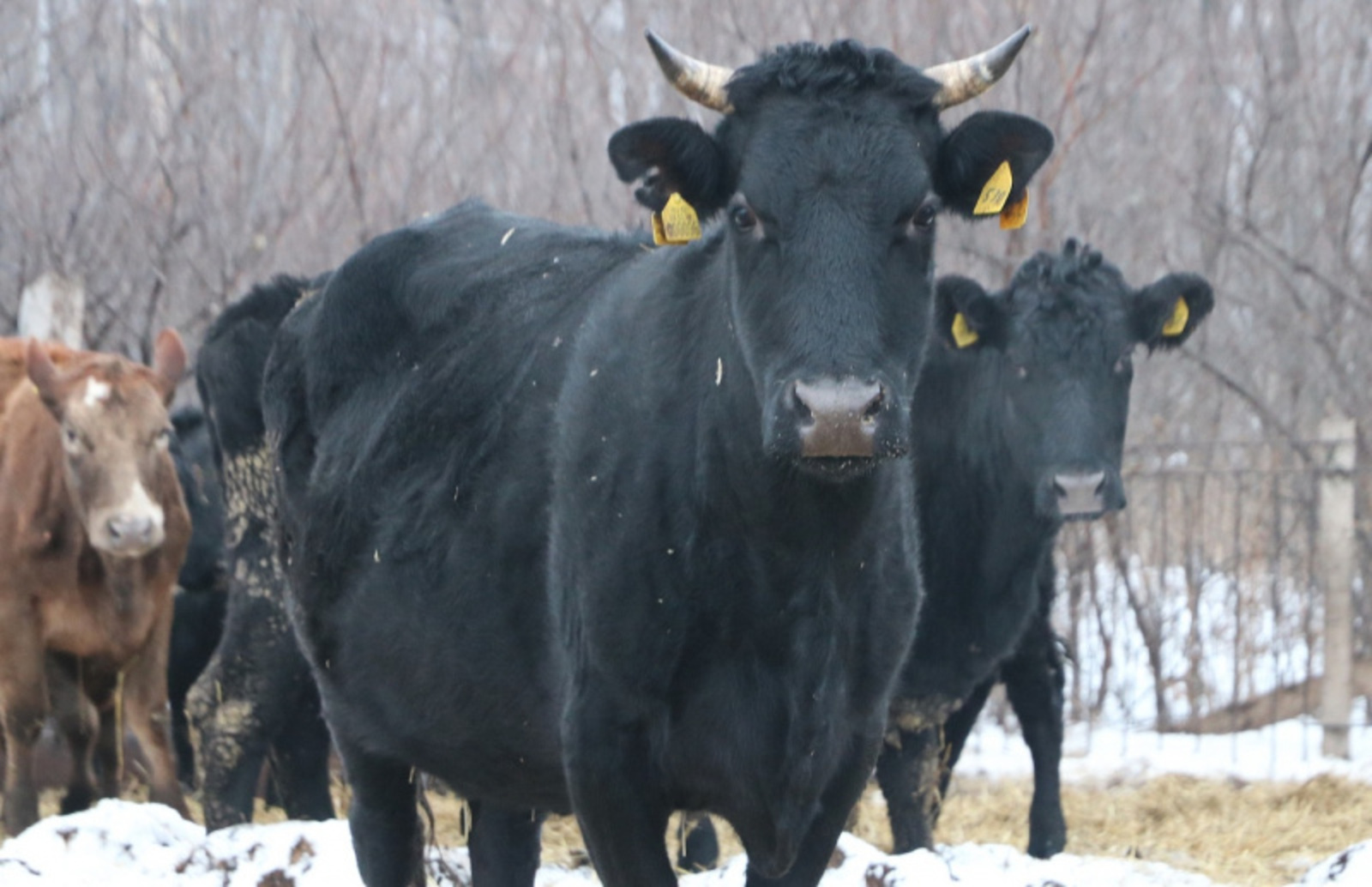 Фото Фарида Гильмиярова.