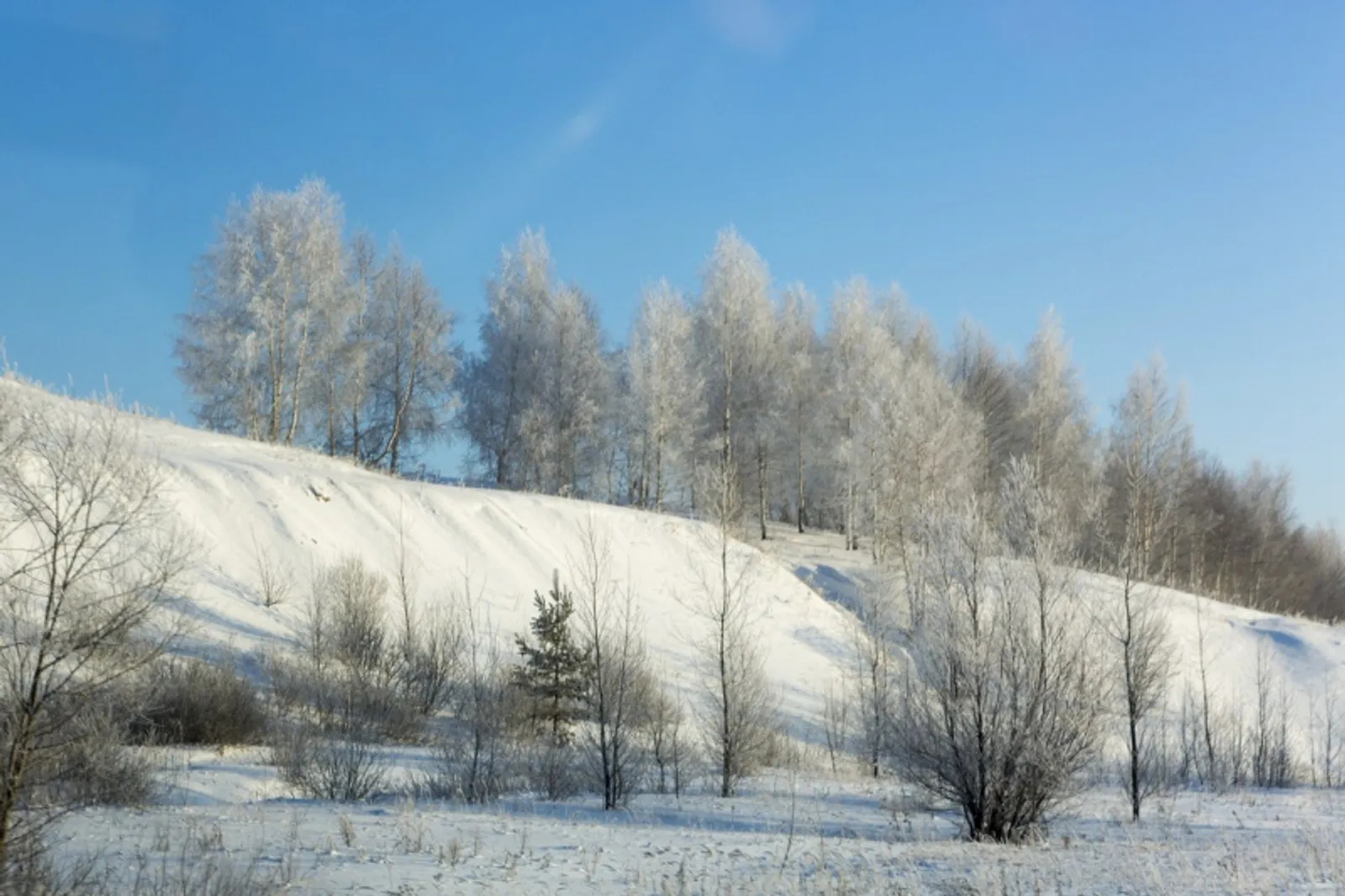 Фото Фаиля Абсатарова.