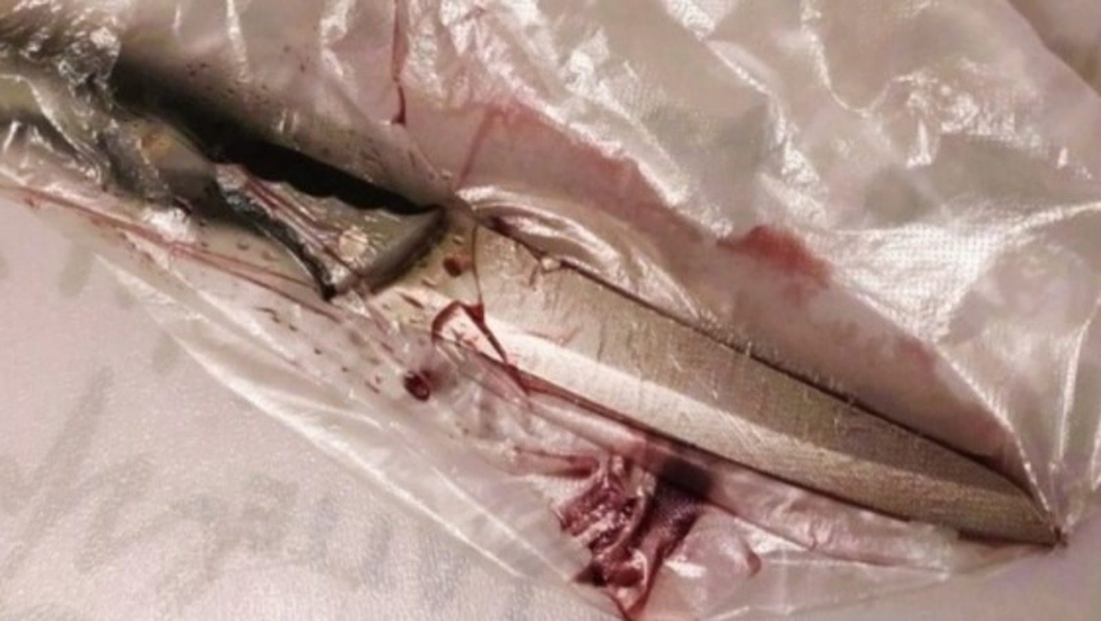 Елены Колоколовой.