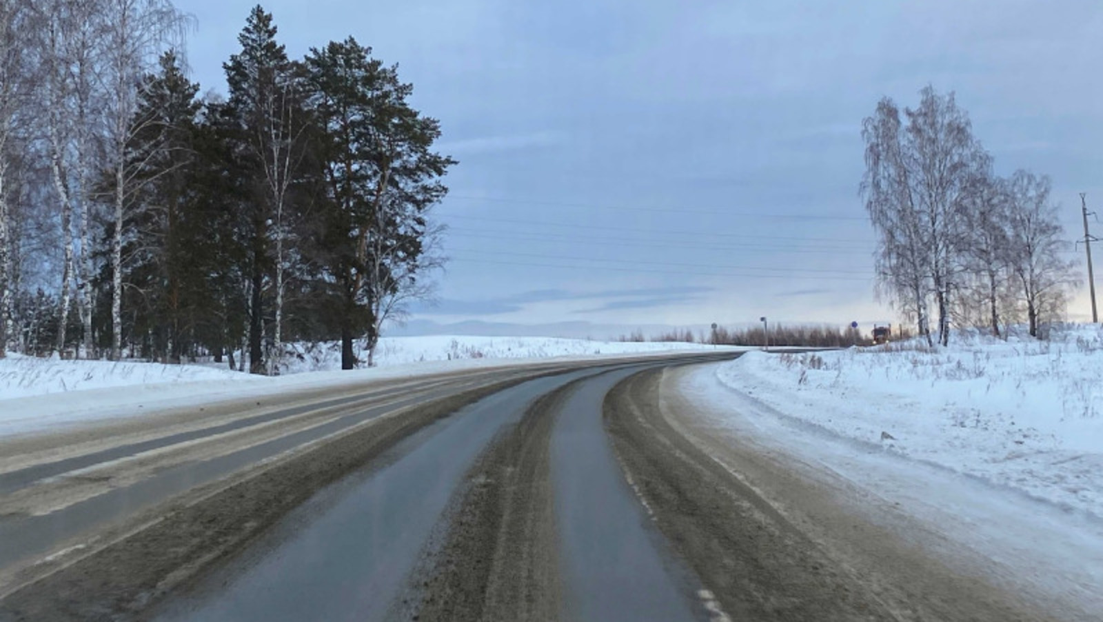 Елены Колоколовой.