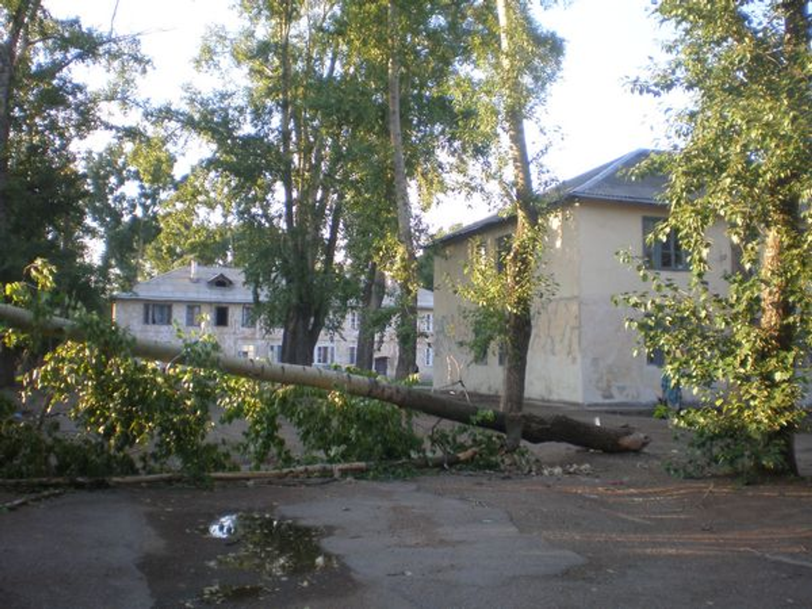 Фото автора.