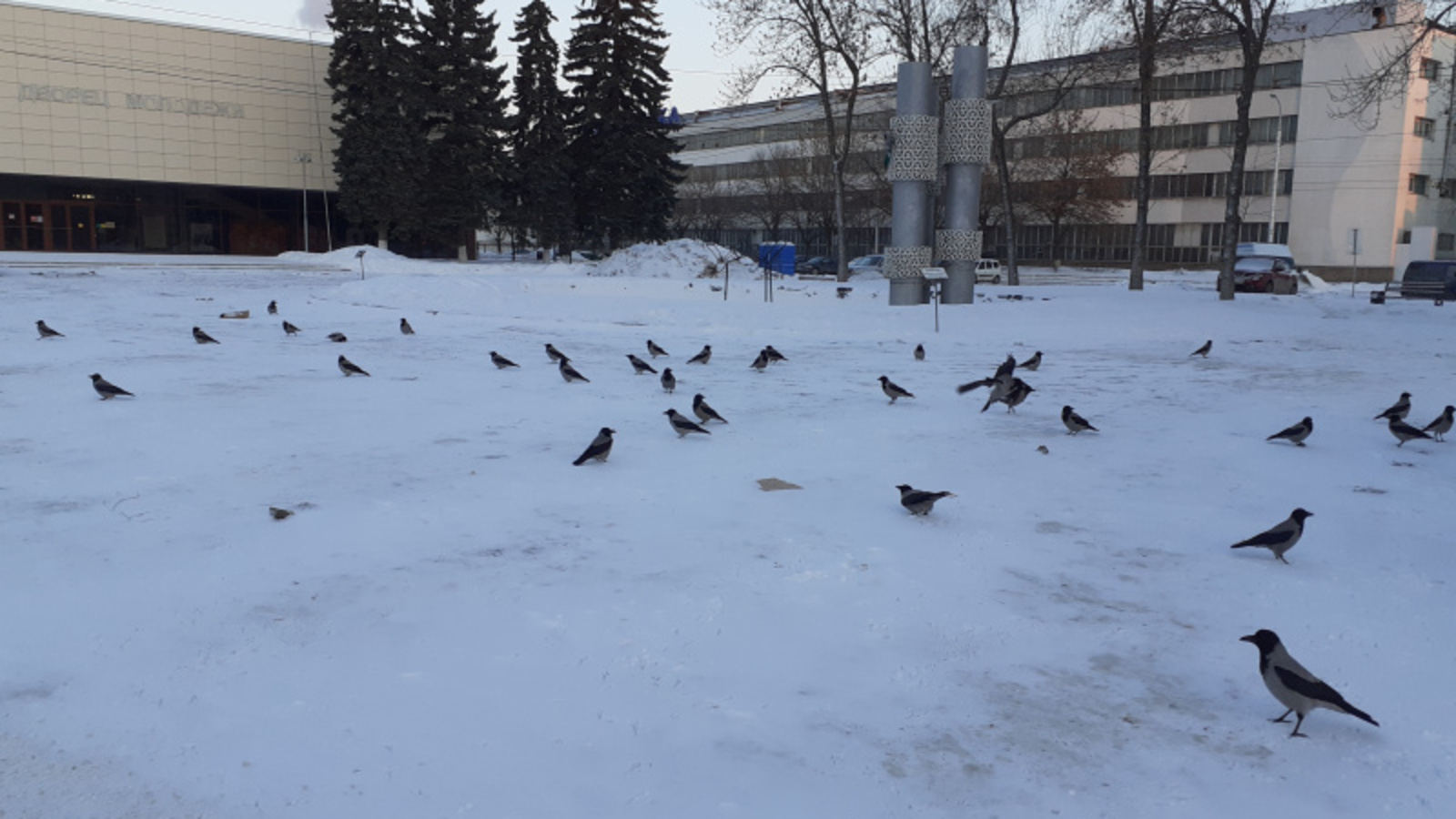 Фото автора.