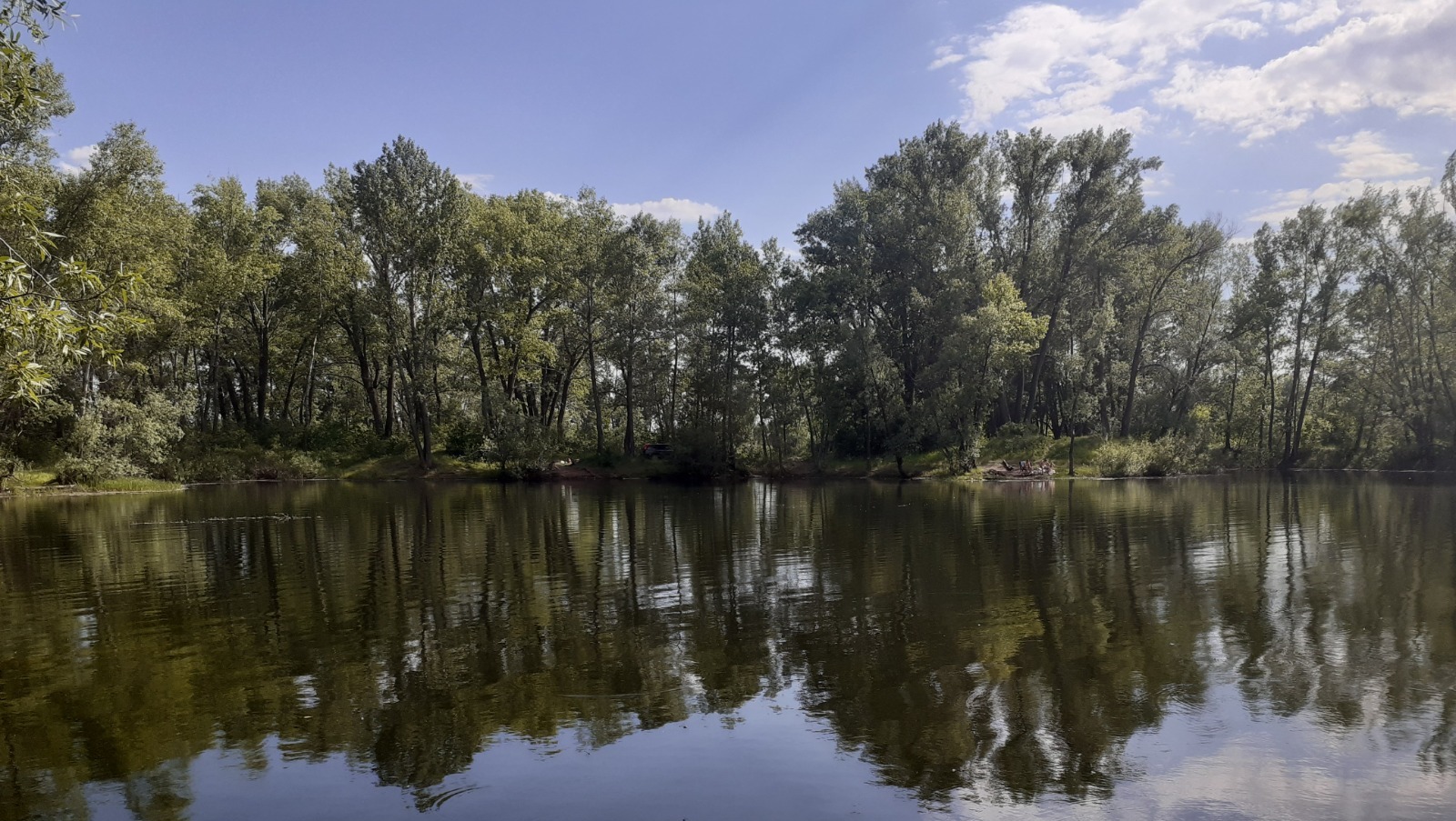 Владимира Шакиева.