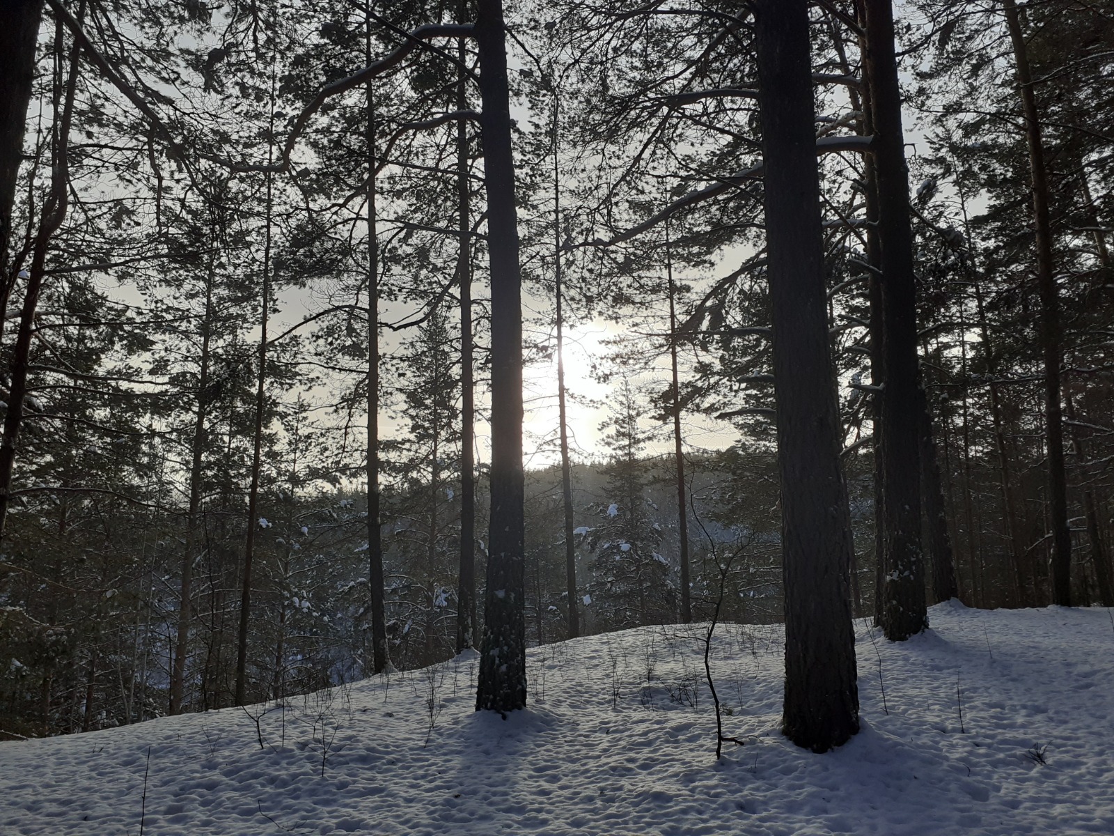 Владимира Шакиева.