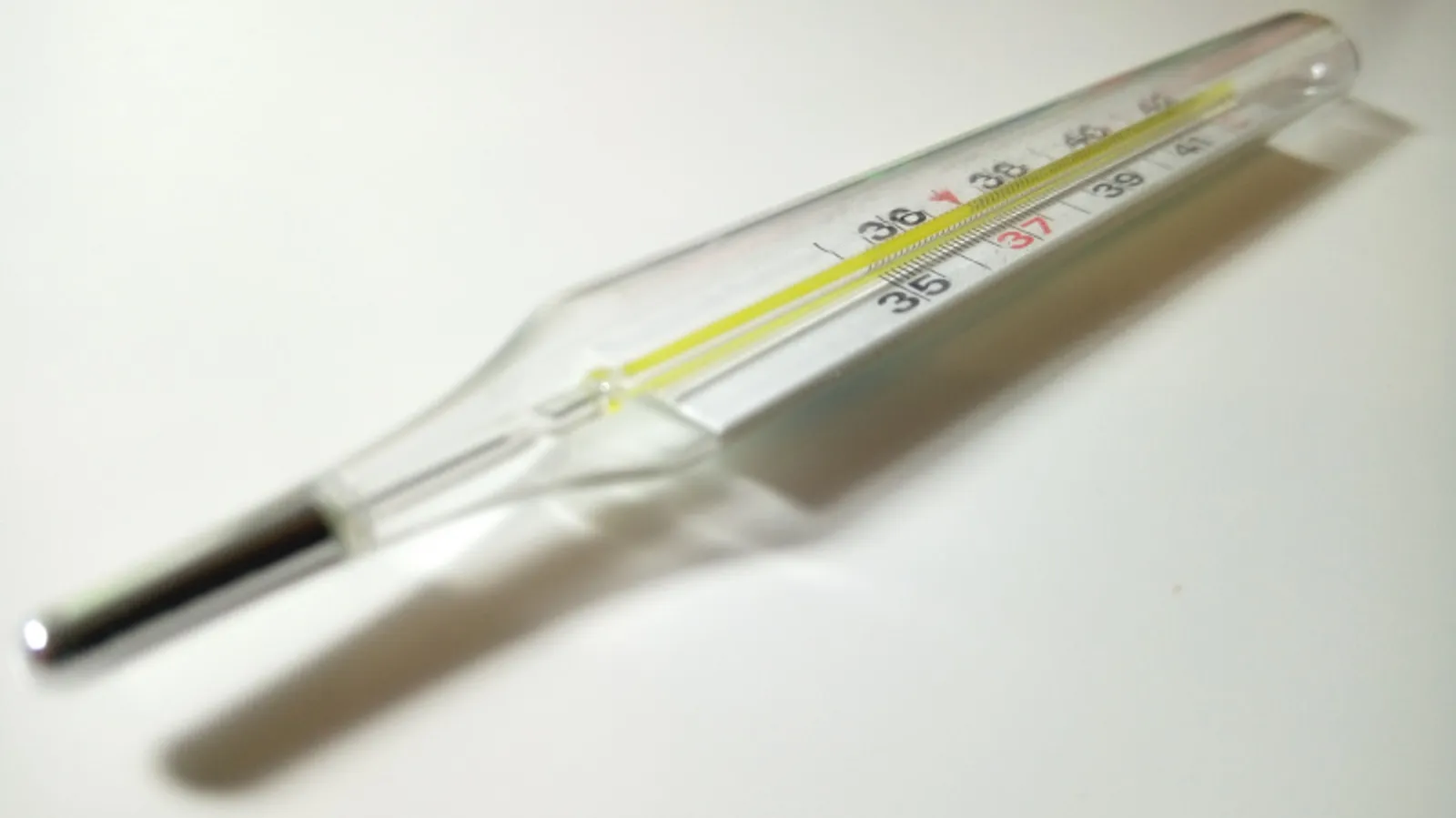 Фото Васили Саитовой.